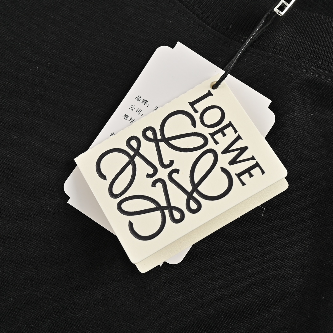 Loewe/罗意威 25ss 双色刺绣logo短袖