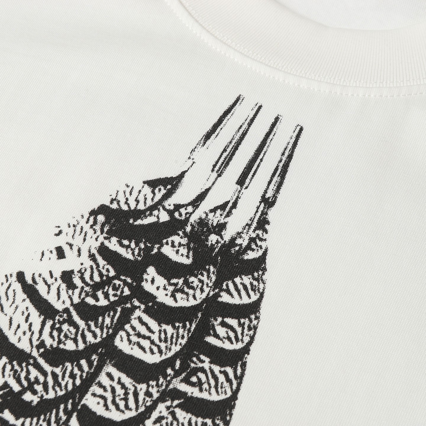 LOEWE/罗意威 25ss 羽毛印花短袖T恤 25ss最新最顶级同步经典限量版马柏全同款羽毛印花大标识 圆领短袖