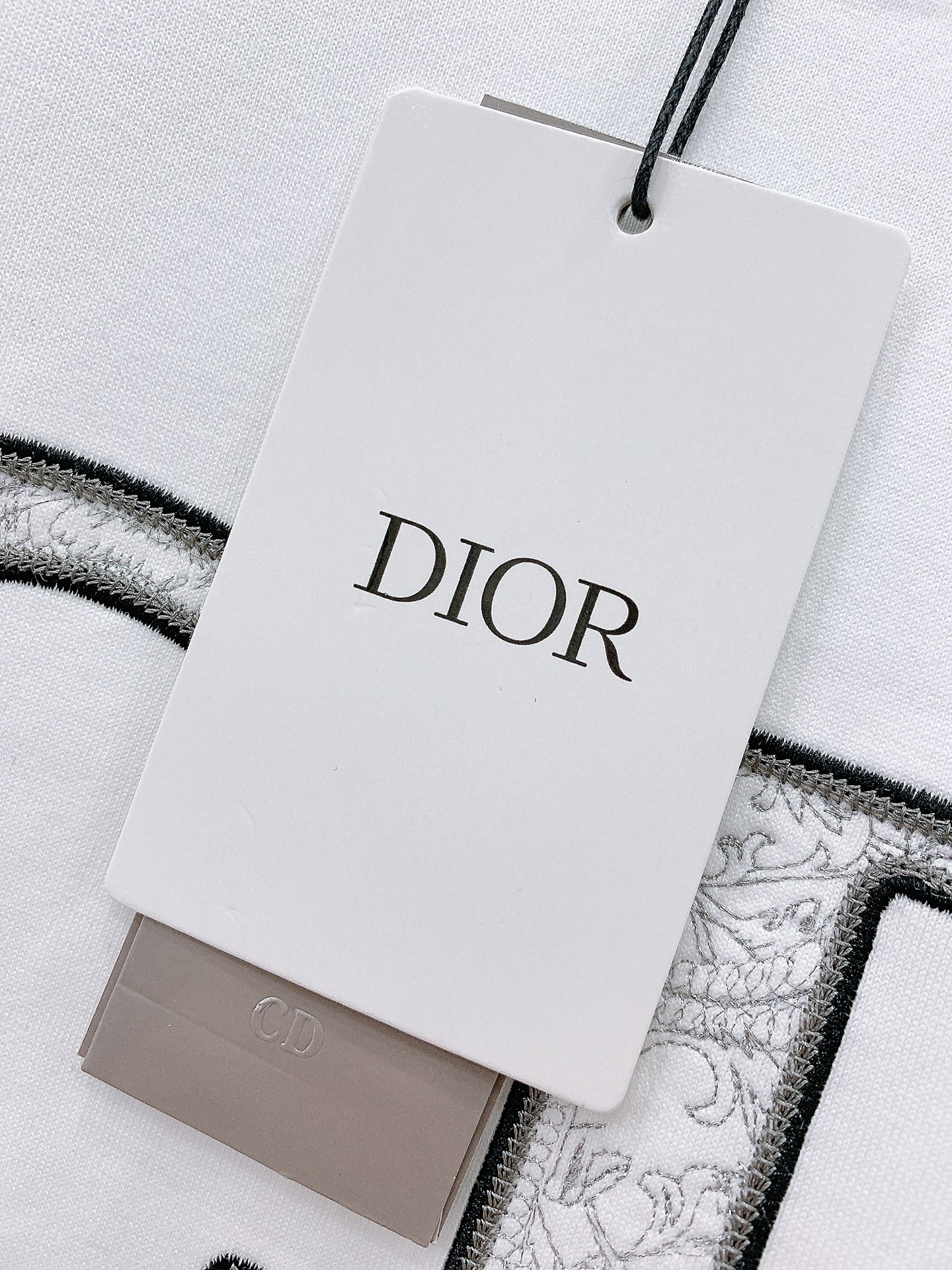 DiorHomme迪奥桀傲2024SS春夏新品限定字母刺绣短袖重磅级尤物单品官网在售系列奢侈一线大牌的御