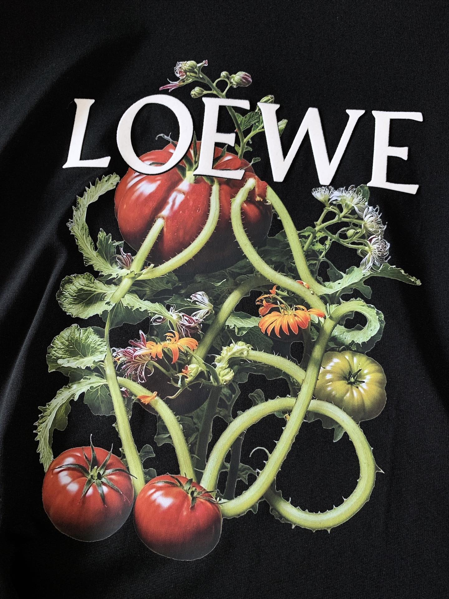 
Loewe 罗意威 2025SS春夏新品
蔬果印花T恤。胸前 “蔬果藤蔓” 印花超绝！红番茄、绿果实攀