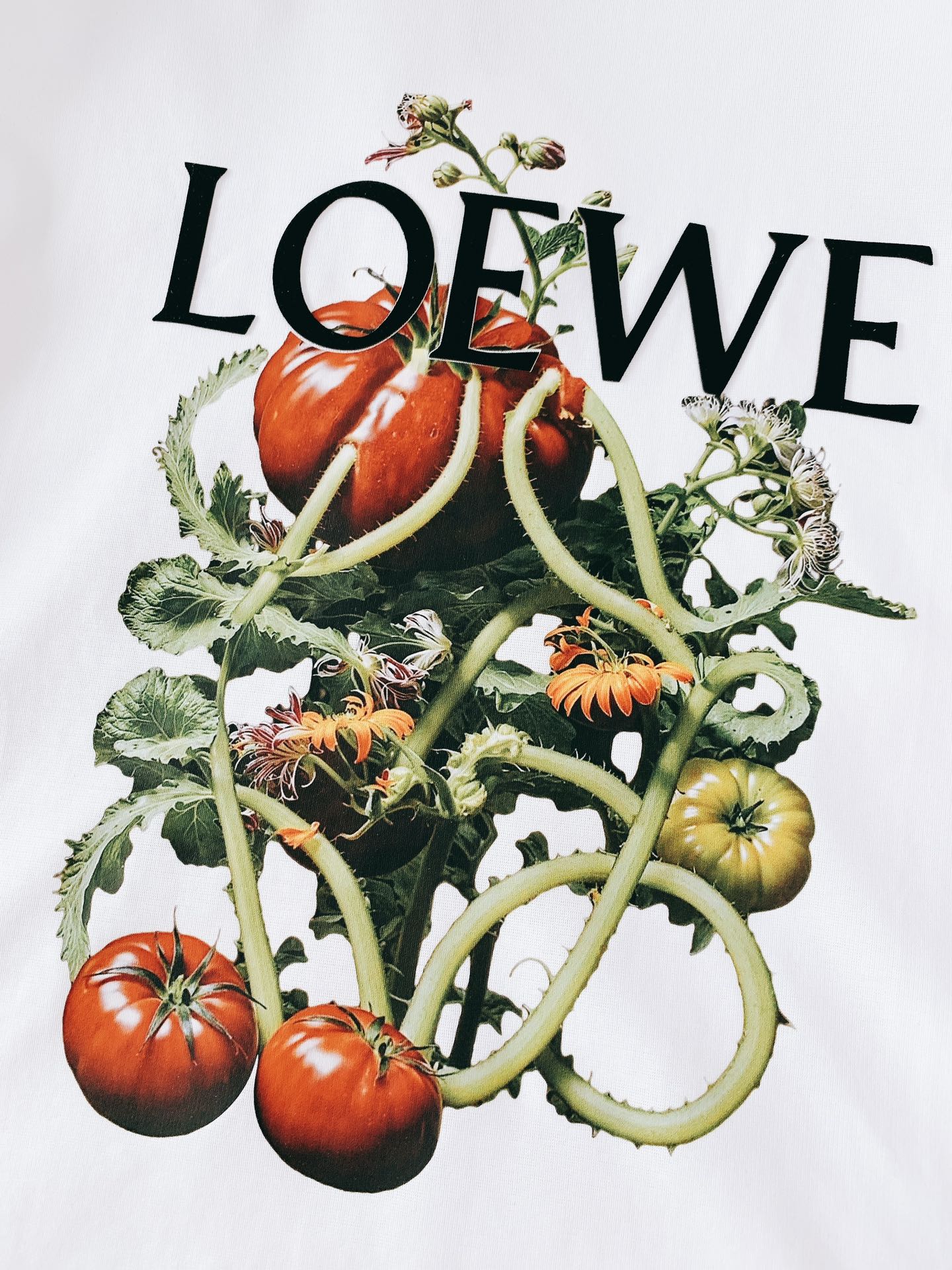 
Loewe 罗意威 2025SS春夏新品
蔬果印花T恤。胸前 “蔬果藤蔓” 印花超绝！红番茄、绿果实攀