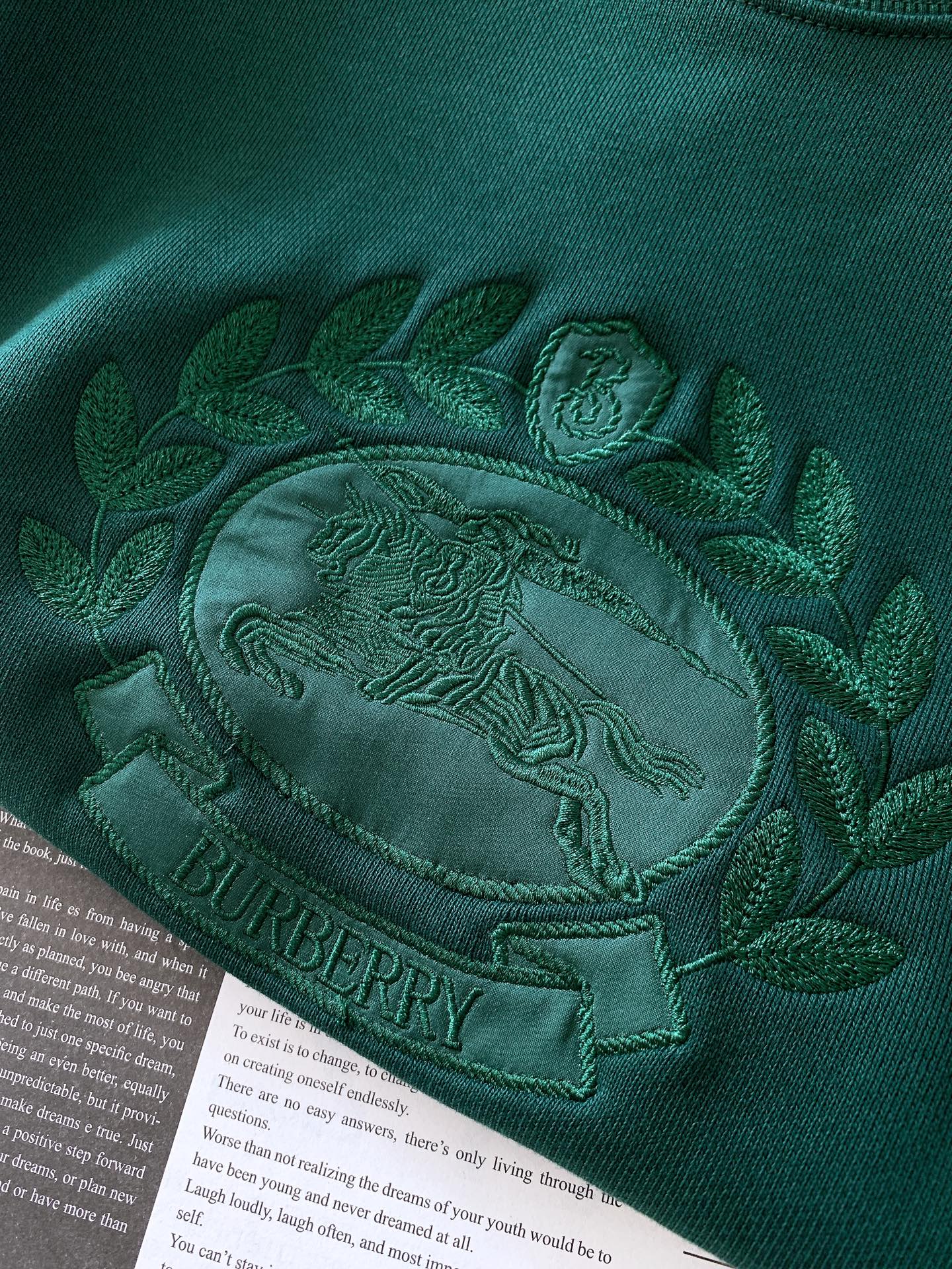 
Burberry 巴宝莉 2025FW早秋新品
经典战马刺绣卫衣。
经典黑色调，高级又百搭
胸前战马徽