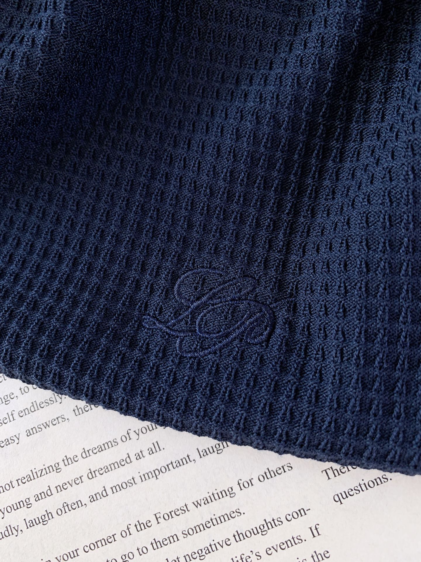 LoroPiana L.P SS春夏新品Loro Piana意式轻奢镂空Polo👕夏日刚需冰感针织面料，