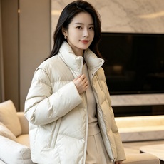 Fendi 芬迪 2026秋冬新款立领短款羽绒服 甄选90高纯度白鸭绒,充绒饱满,分段锁绒不跑绒、简约几何压线剪裁,利落 Fendi 芬迪 2026秋冬新款立领短款羽绒服 甄选90高纯度白鸭绒,充绒饱满,分段锁绒不跑绒、简约几何压线剪裁,利落