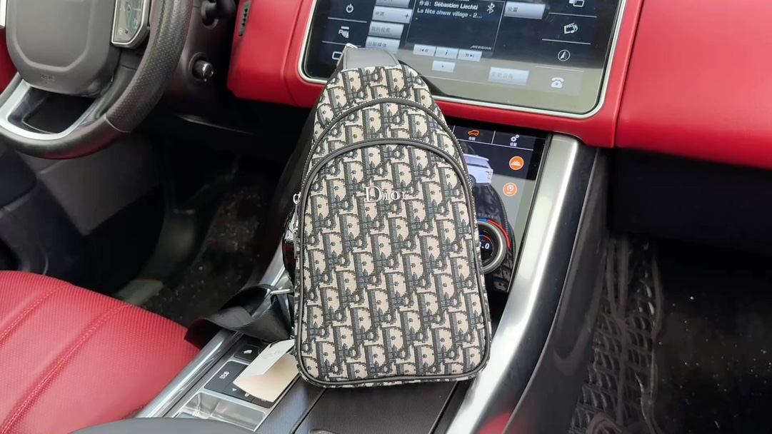 Dior Sling Bag - Comprehensive