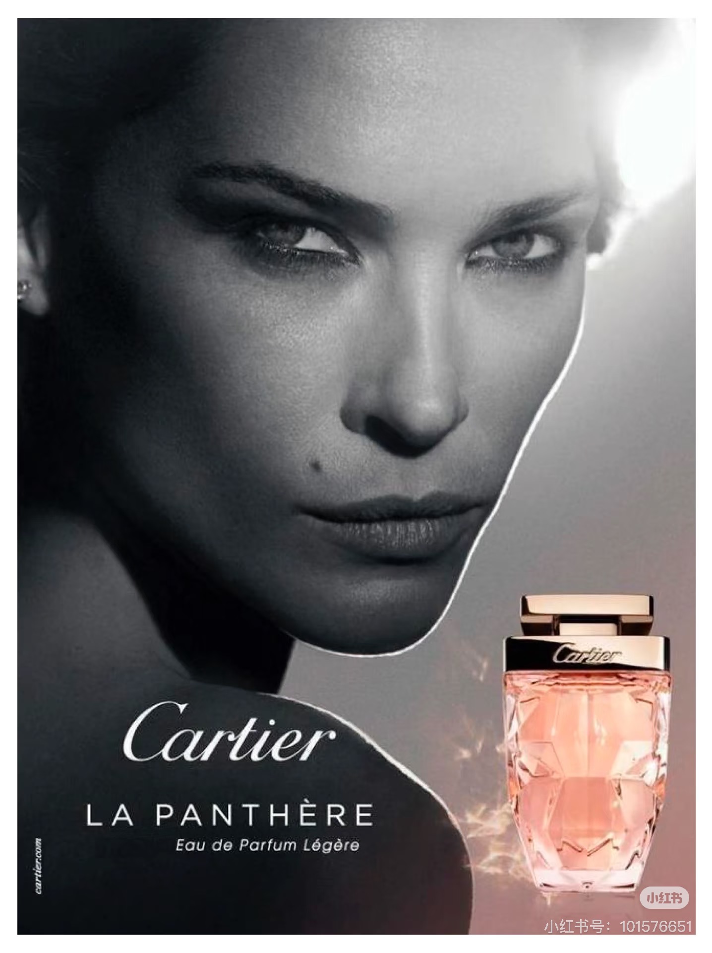 卡地亚 Cartier 传世高定浓香水香氛 #46FB111F 2