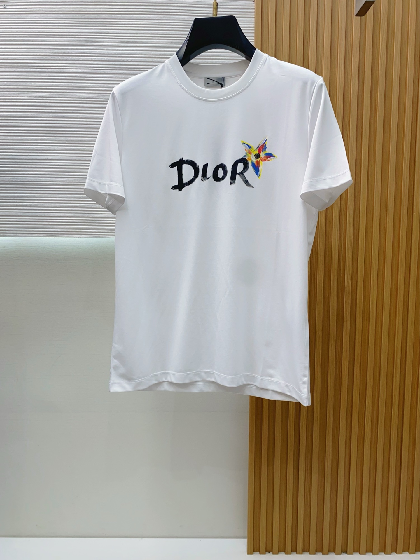 디올 남성 반팔 SS 47541 Dior T Shirt