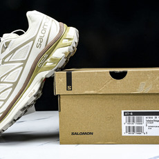 纯原外贸 Salomon XT-6 _For DSM_ 所罗门高科端技户外休闲跑鞋 斑鸠棕 -28 #YZ001-1 原 纯原外贸 Salomon XT-6 _For DSM_ 所罗门高科端技户外休闲跑鞋 斑鸠棕 -28 #YZ001-1 原