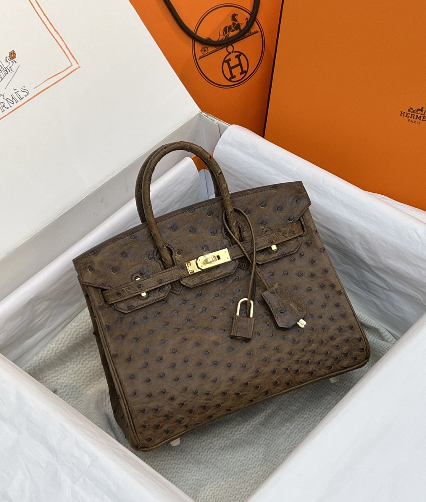 NO:714016,Ostrich platinum 25, coffee two-color/gold buckle, ready stock, Hermes, hermes, Hermes,19860909鸵鸟铂金25,咖啡双色/金扣,现货,爱马仕,hermes,Hermes,,Bag