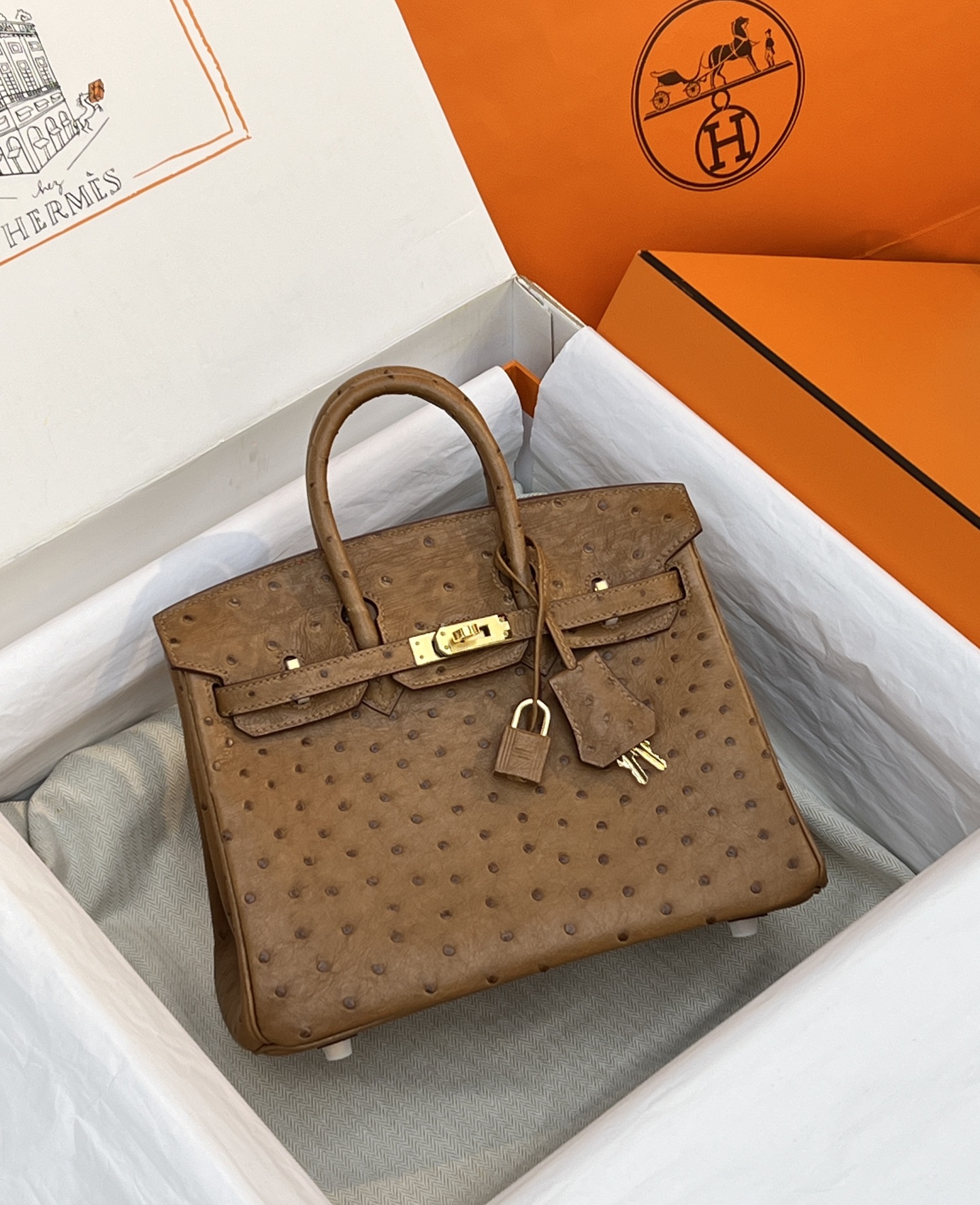 NO:714015,Ostrich skin platinum 25,gold brown/gold buckle spot,Hermes,hermes,ostrich skin,Hermes,19860909鸵鸟皮铂金25,金棕/金扣 现货,爱马仕,hermes,ostrich skin,Hermes,,Bag