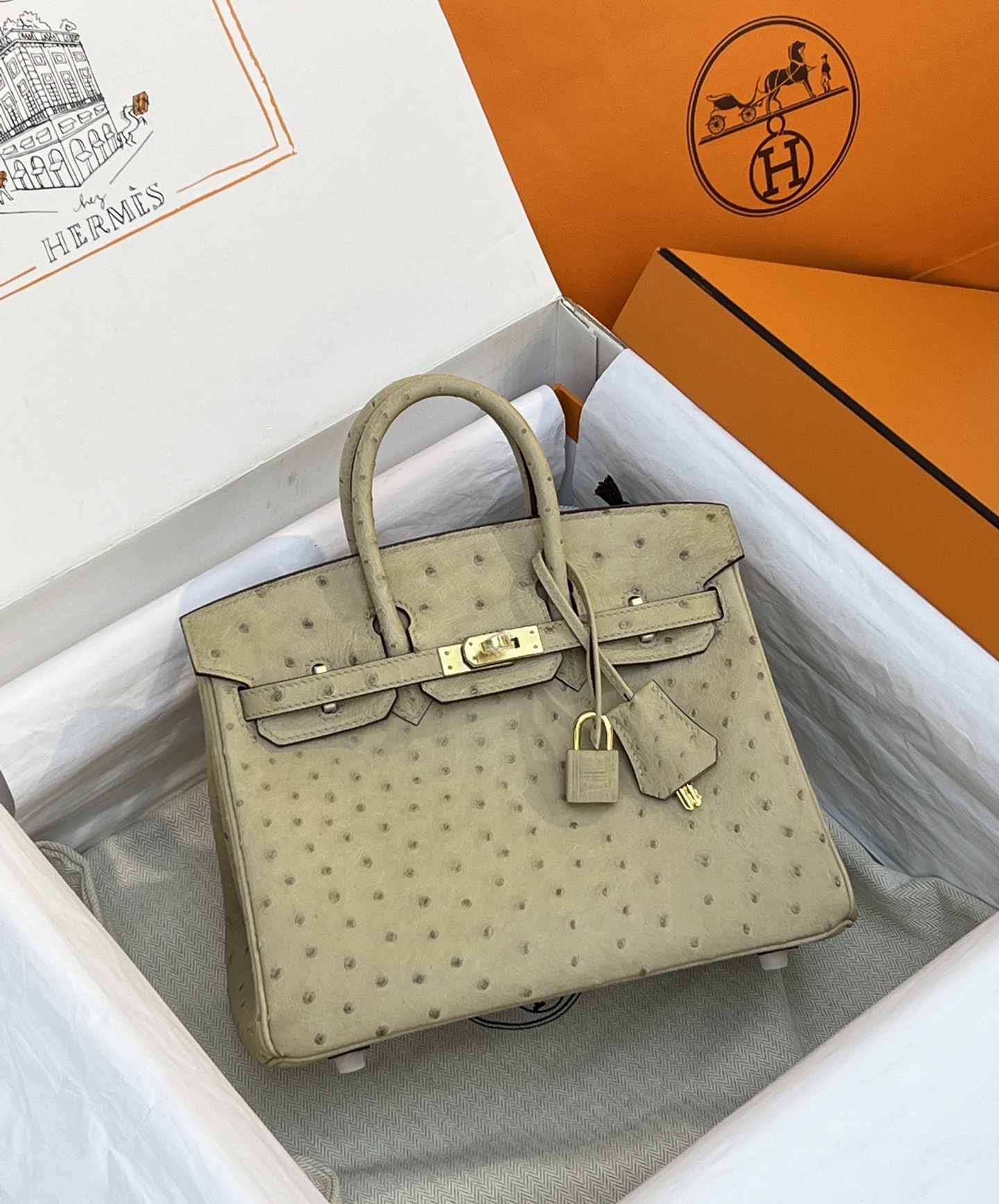 NO:714018,Ostrich skin platinum 25, vanilla/gold buckle in stock,Hermes,hermes,ostrich skin,Hermes,19860909鸵鸟皮铂金25,香草色/金扣 现货,爱马仕,hermes,ostrich skin,Hermes,,Bag