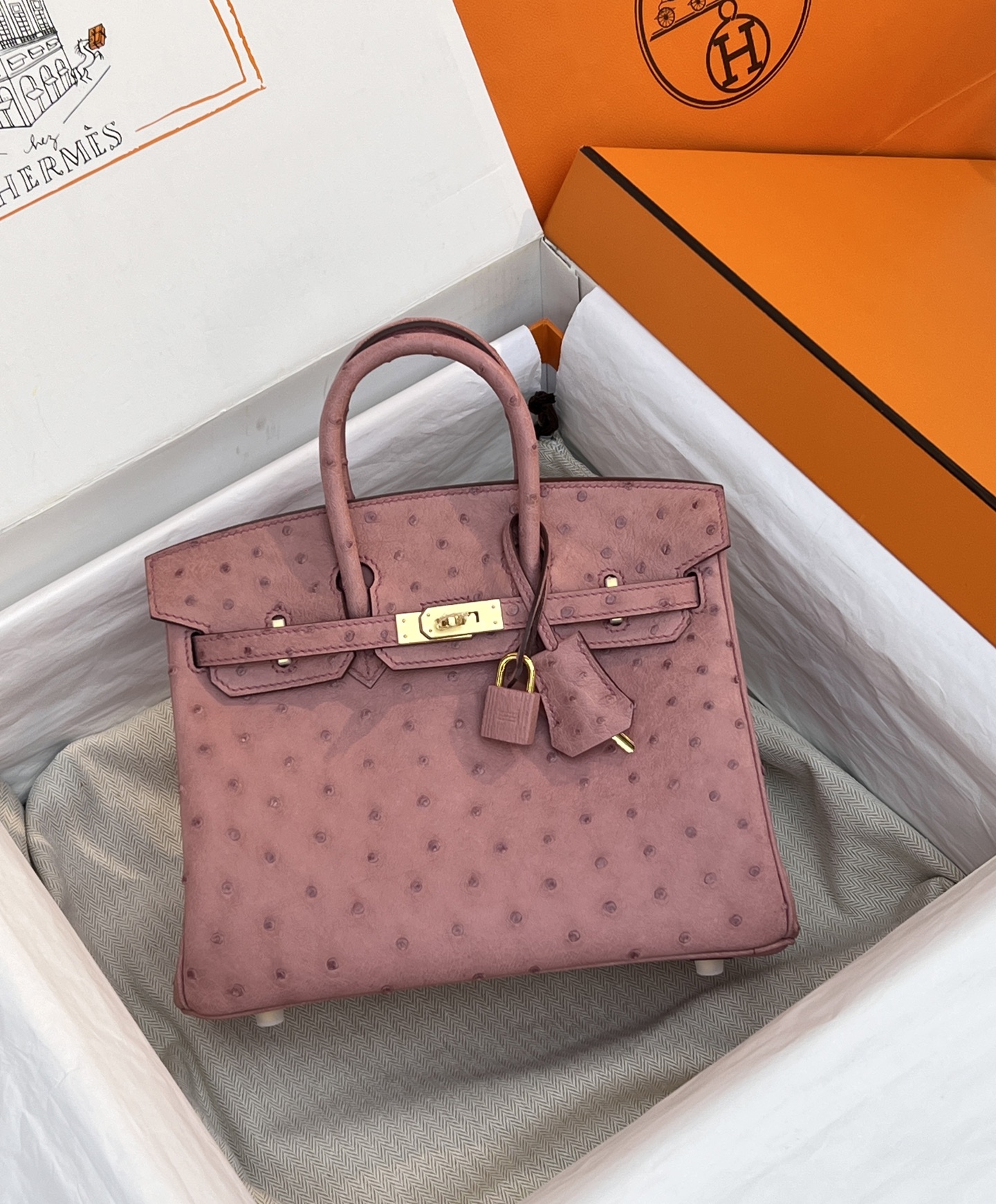 NO:714012,Ostrich platinum 25, ceramic powder/gold buckle in stock, Hermes, hermes, Hermes,19860909鸵鸟铂金25,陶瓷粉/金扣 现货,爱马仕,hermes,Hermes,,Bag