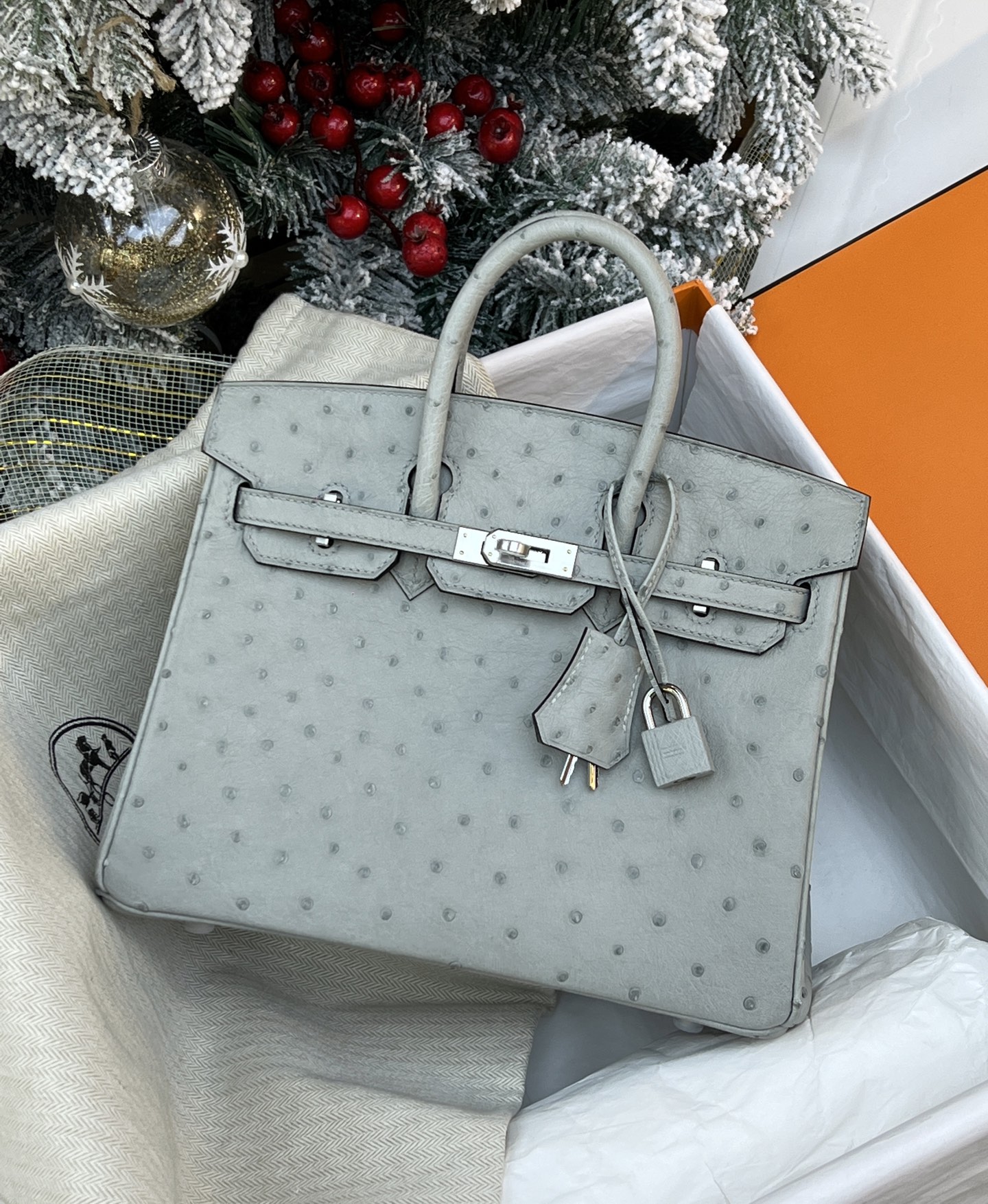 NO:714022,Ostrich skin platinum 25, pearl gray/silver buckle spot,Hermes,hermes,ostrich skin,Hermes,19860909鸵鸟皮铂金25,珍珠灰/银扣 现货,爱马仕,hermes,ostrich skin,Hermes,,Bag
