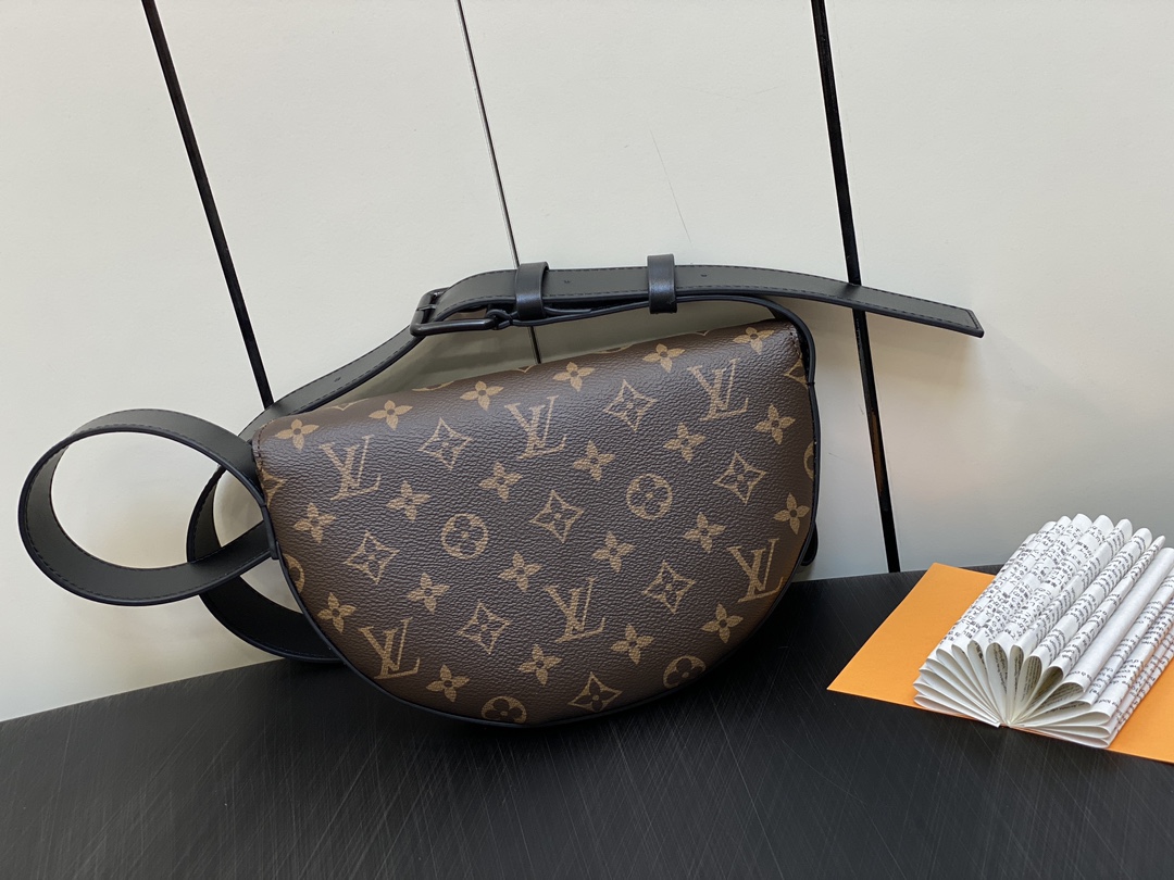 Louis Vuitton Classic Luxury Handbag Shoulder Crossbody Bag Ref.6B5C543F 4