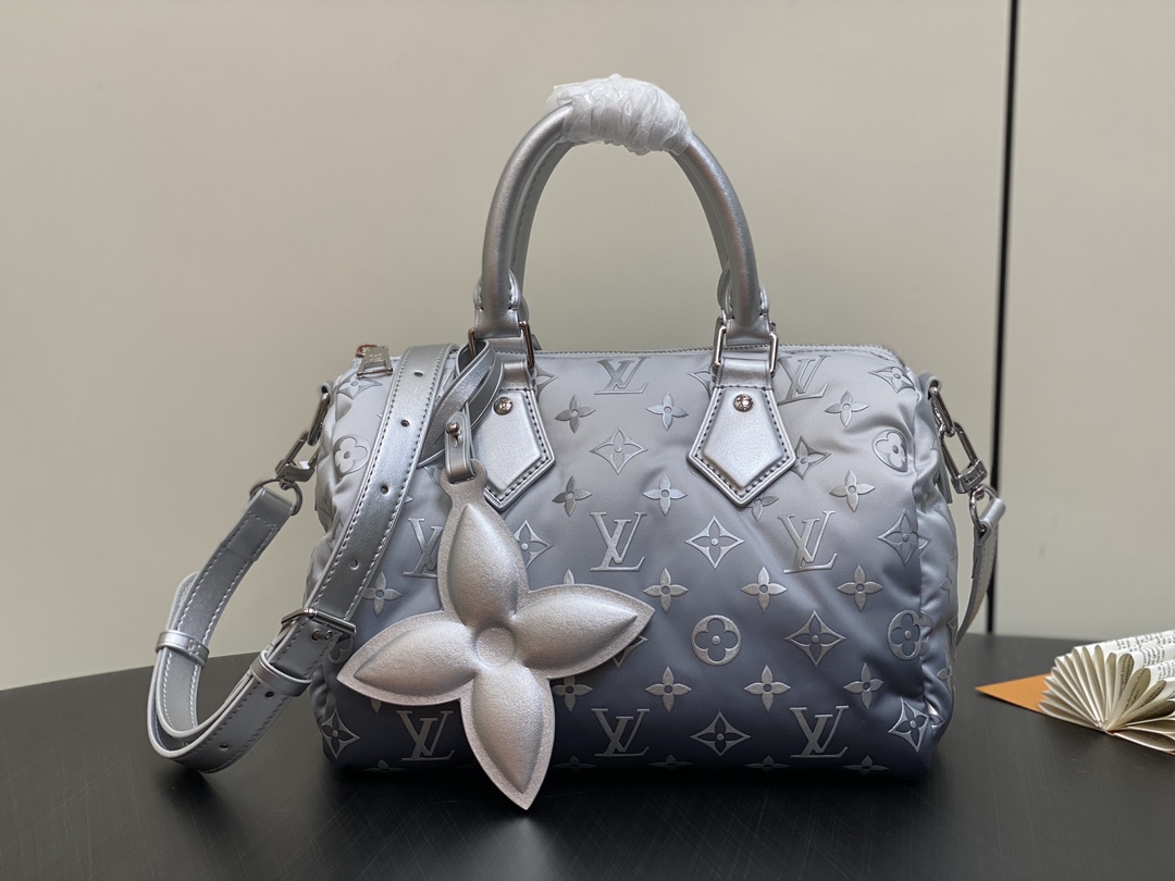 Louis Vuitton LV Speedy Sacs À Main Argent M11848