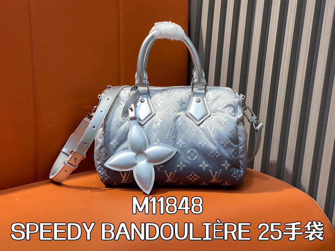 Louis Vuitton LV Speedy Sacs À Main Argent M11848