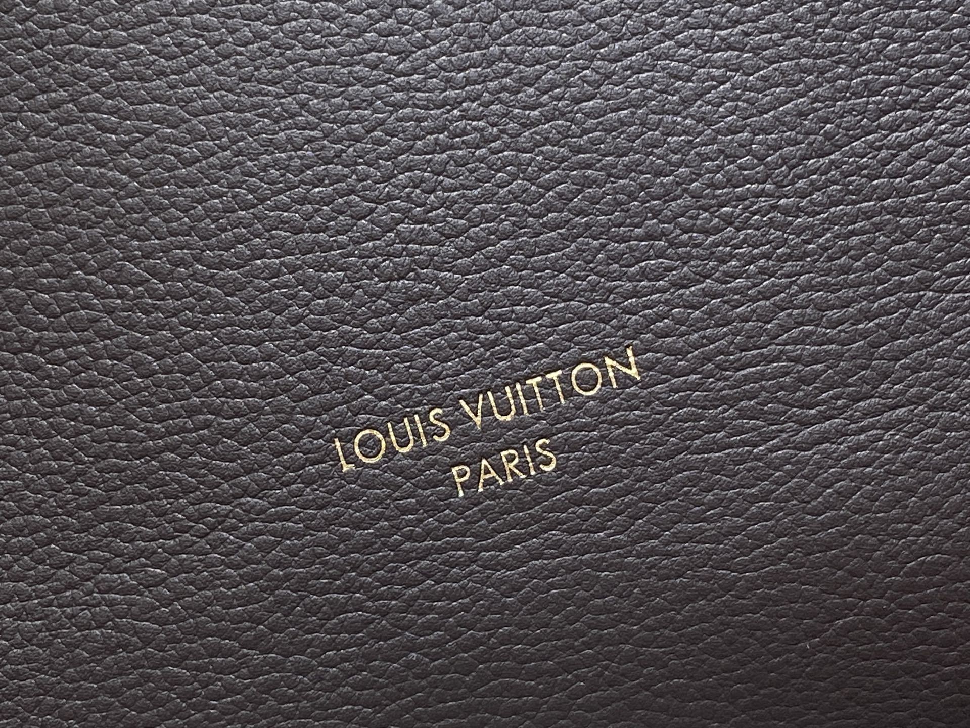 【顶级原单】M26357咖啡 全皮speedy枕头包 EXPRESS 中号手袋 m26359 深啡色(油