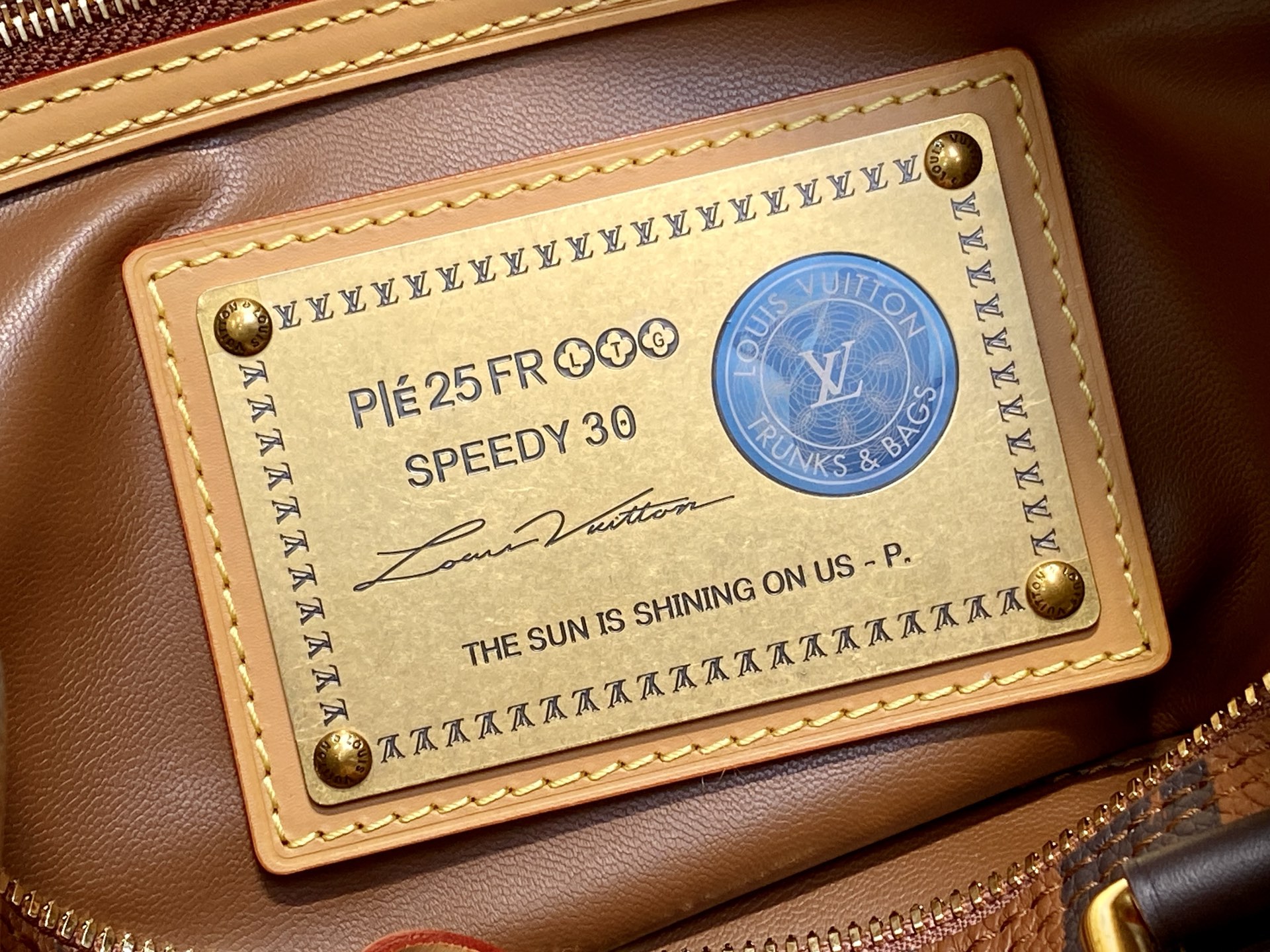 【顶级原单】M14064咖啡条纹 全皮speedy枕头包 SPEEDY BANDOULIÈRE30 手袋