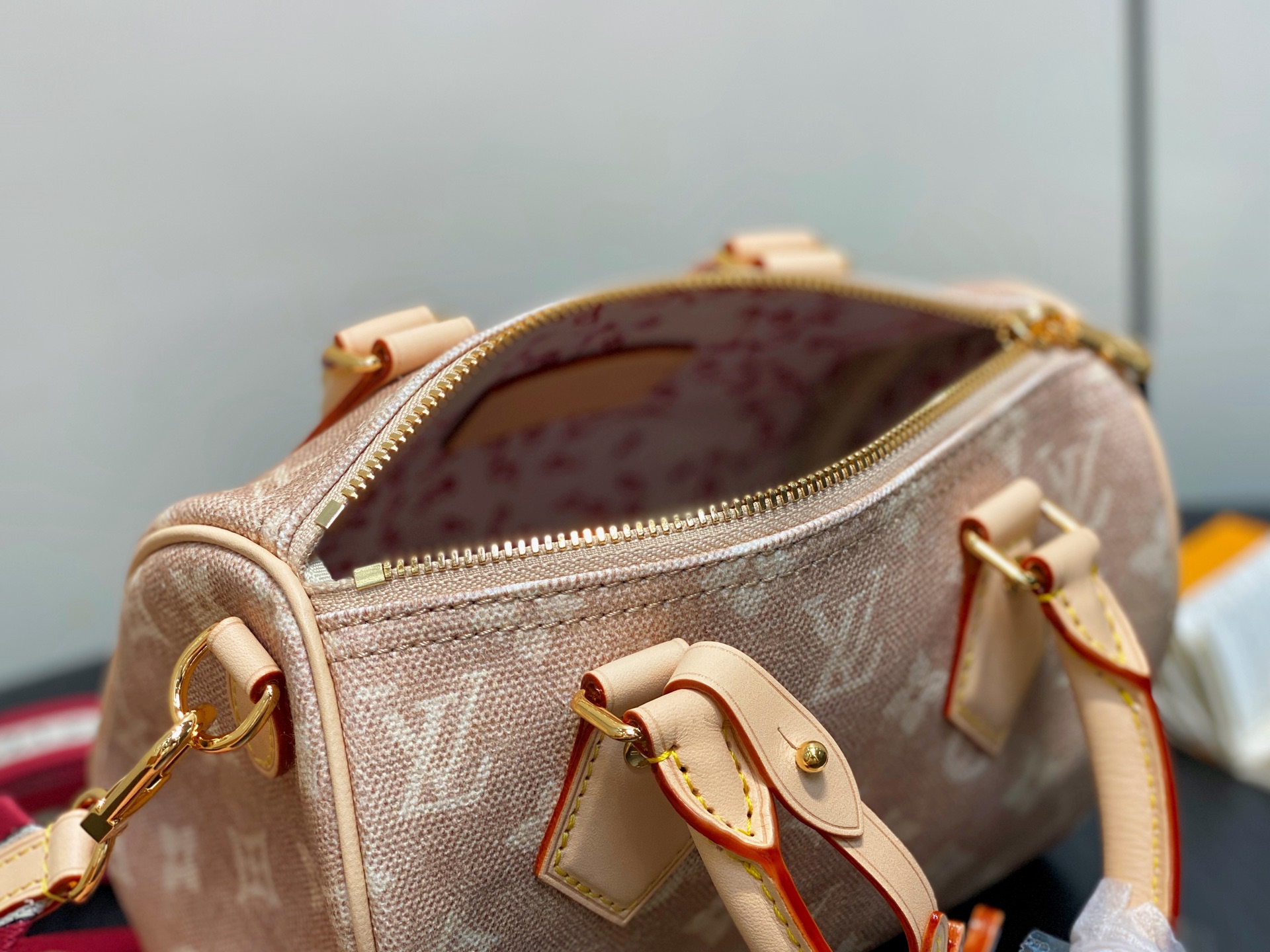 【顶级原单】M15151猫咪 speedy枕头包 SPEEDY BANDOULIÈRE 20 手袋 本款