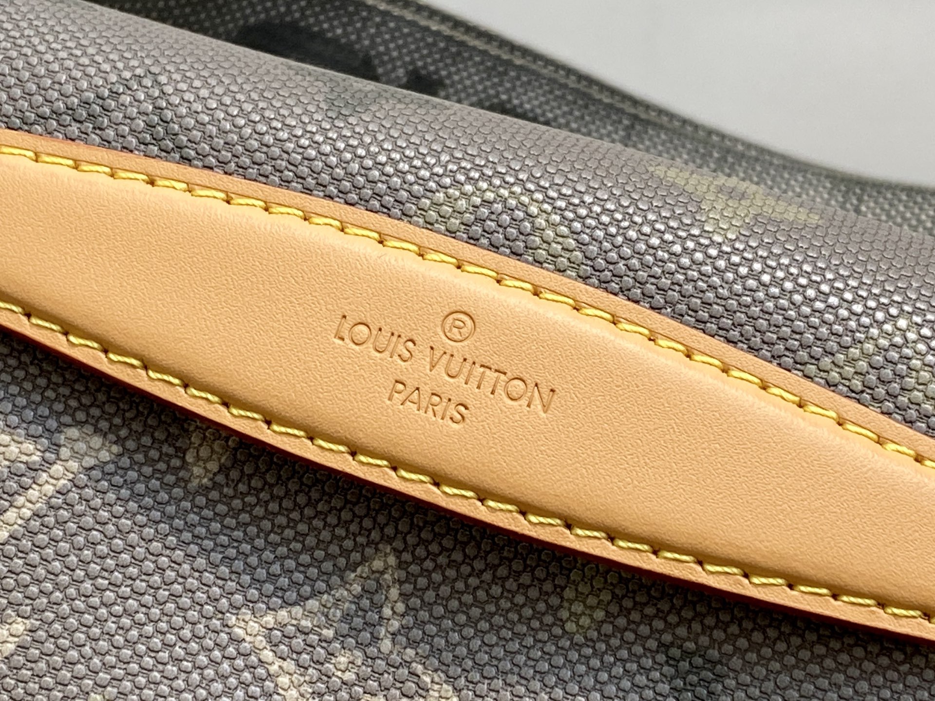 Louis Vuitton Rush Monogram Surplus everyday