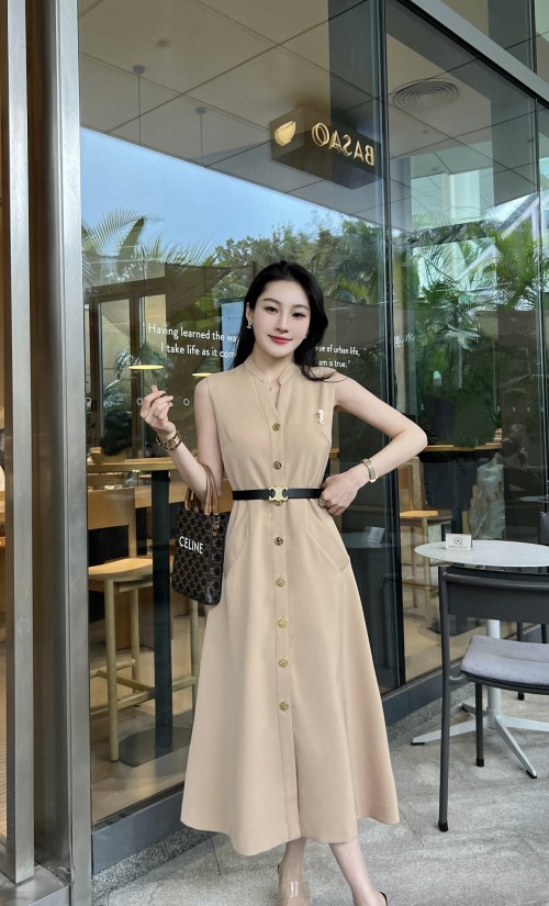 Elegant Sleeveless A-Line Dress with Button Front and Stand Collar 1 Elegant Sleeveless A-Line Dress with Button Front and Stand Collar