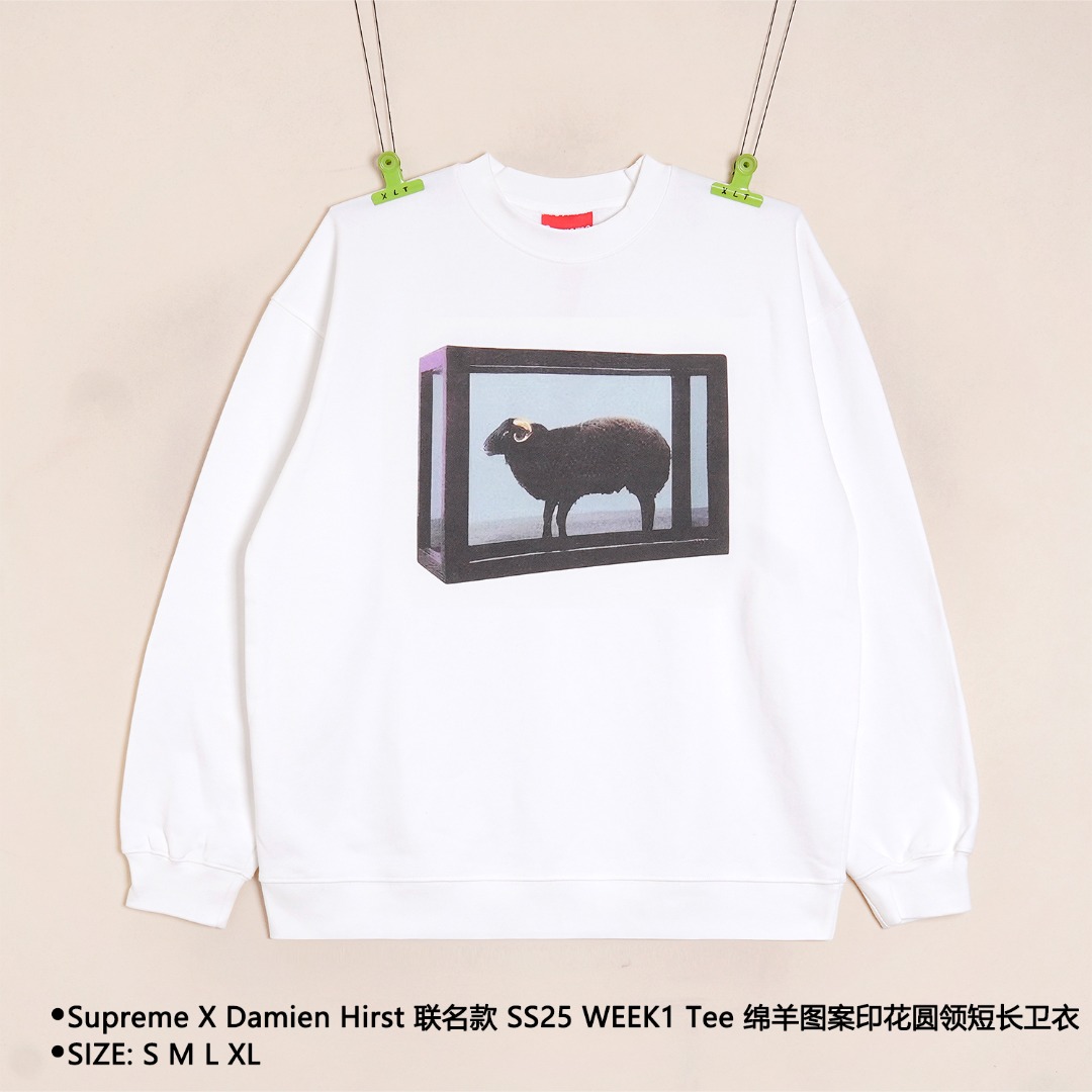 _dub9slwzID-6-exEstnmnHNyNW_TyVn4ZE_IldQ