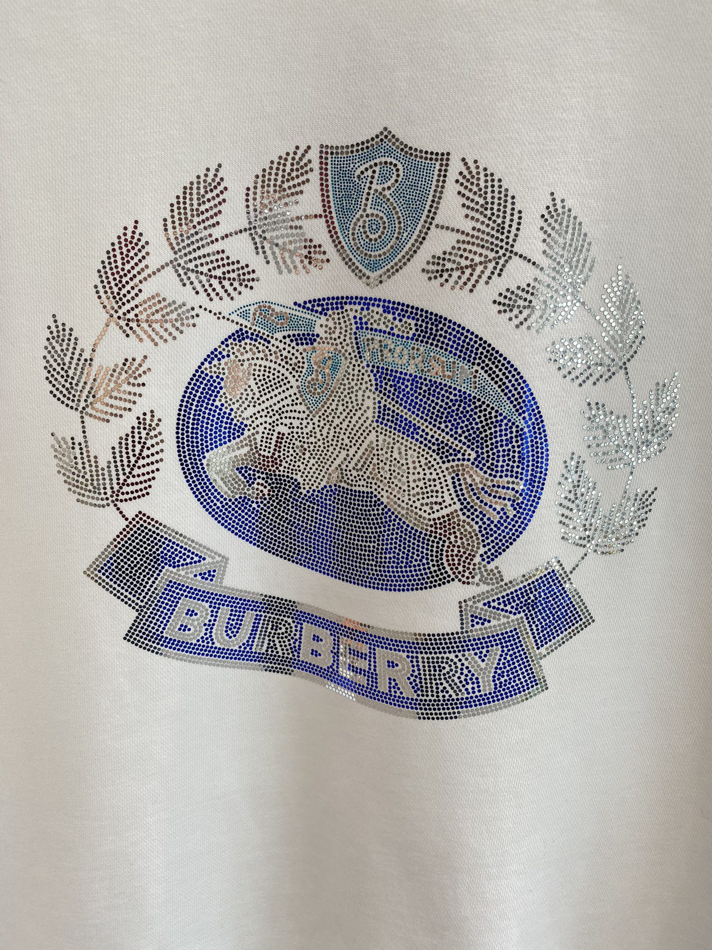 《𝙉𝙚𝙬🤍🖤巴家》

24新款专柜同步休闲卫衣 采用420g高克重精梳食毛毛圈纯棉卫衣面料制成，面料手感