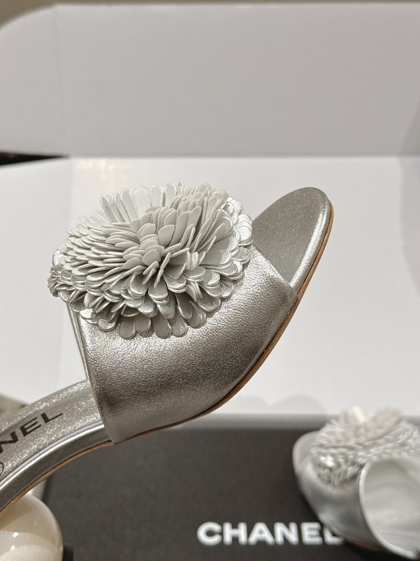 Chanel Mary Jane Shoes