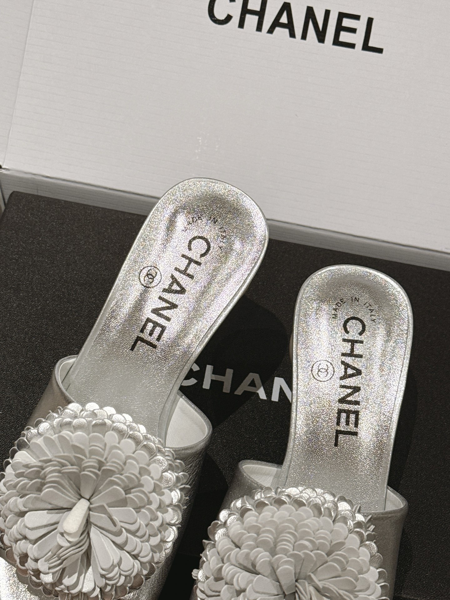 Chanel Mary Jane Shoes