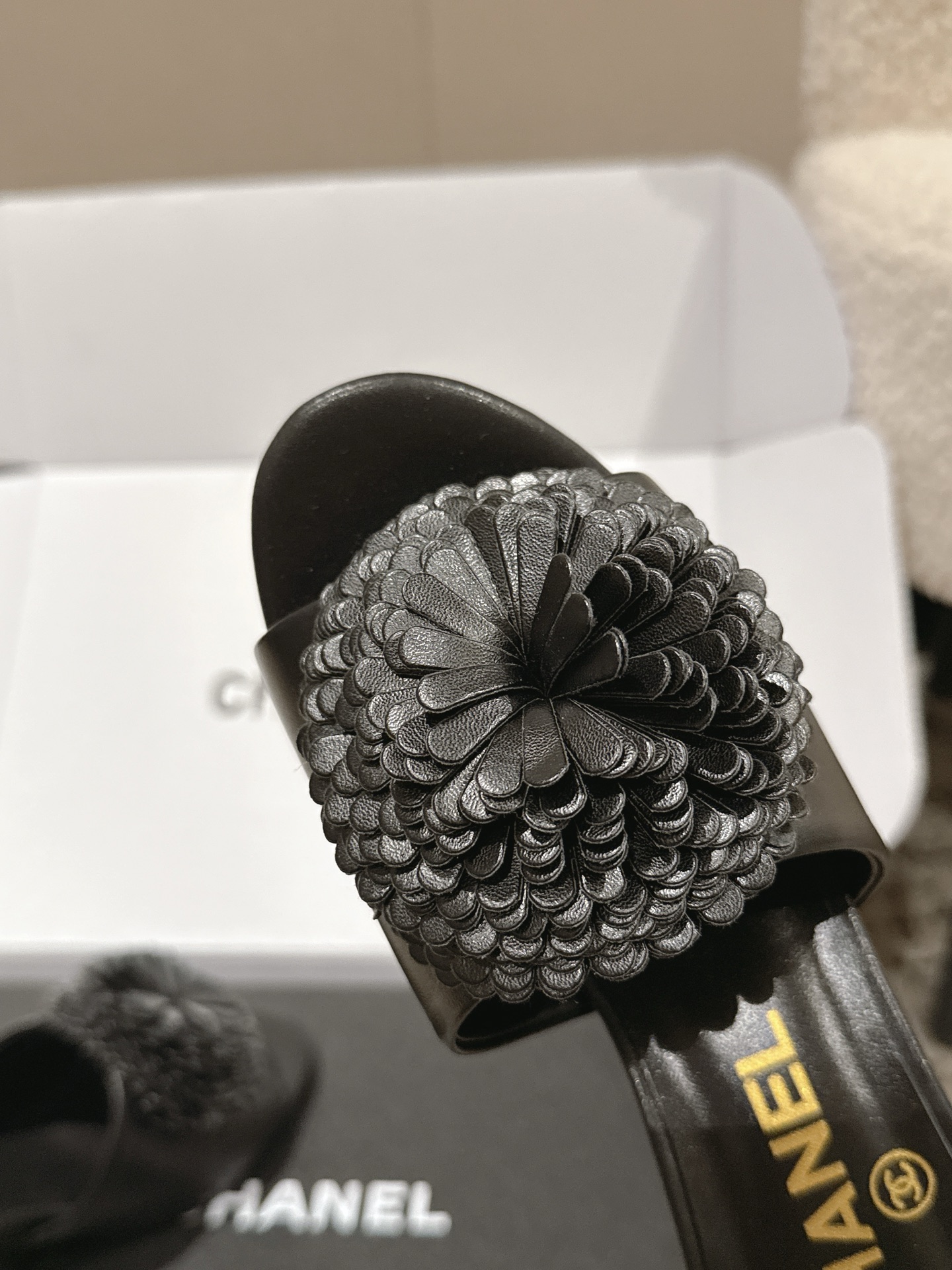 Chanel Mary Jane Shoes