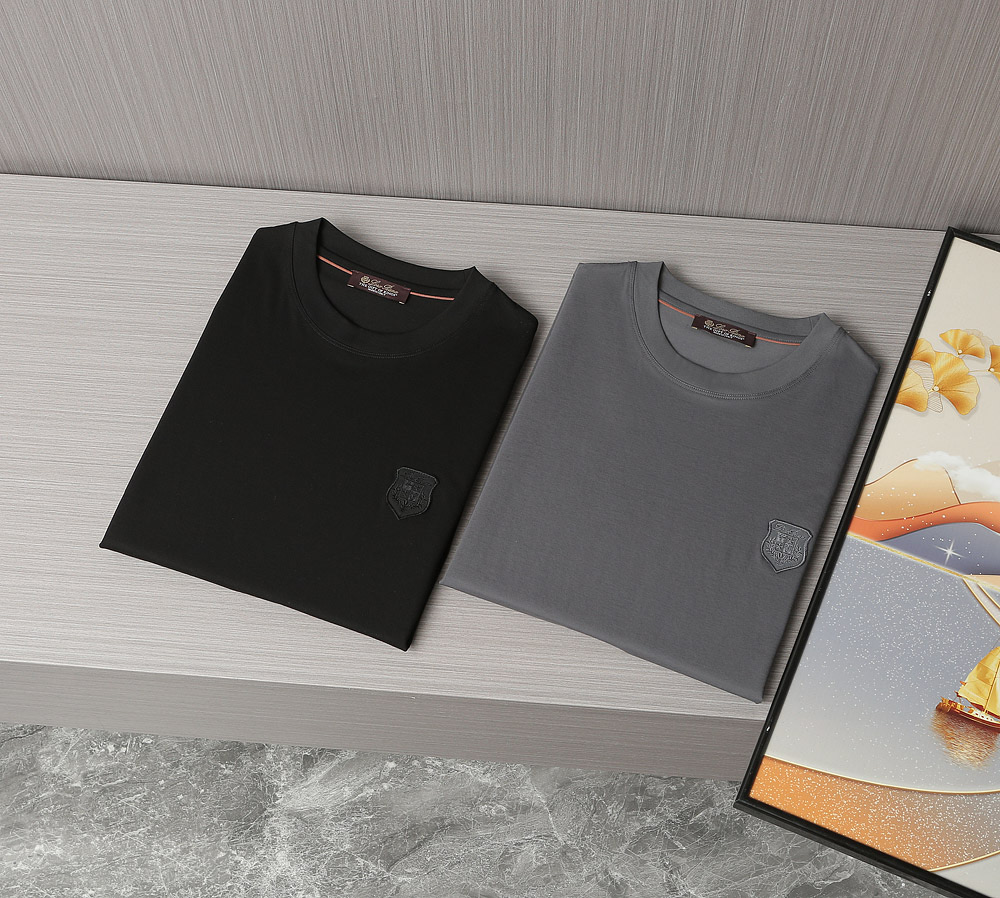 Men's Premium T-Shirt with Shield Logo - Casual & Business Ready 12 i1750172795468 6586 0 4
