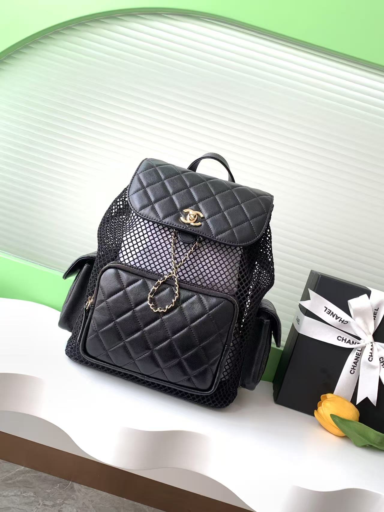 Chanel Mesh Quilted Backpack BAG