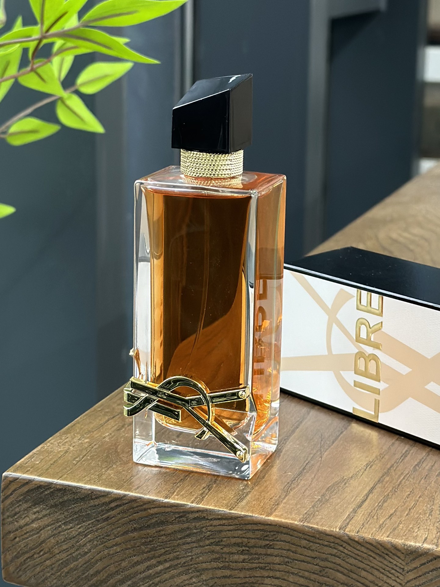 Saint Laurent Haute Couture Artisanal Perfumery Haute Fragrance Scent 4