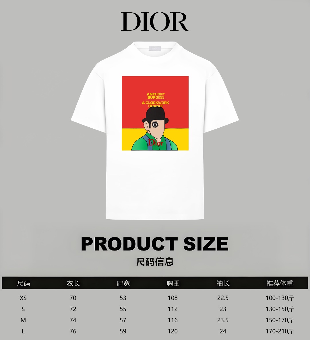 Dior Dior/迪奥 《 限定卡通人像logo字母》 印花双纱纯棉短袖