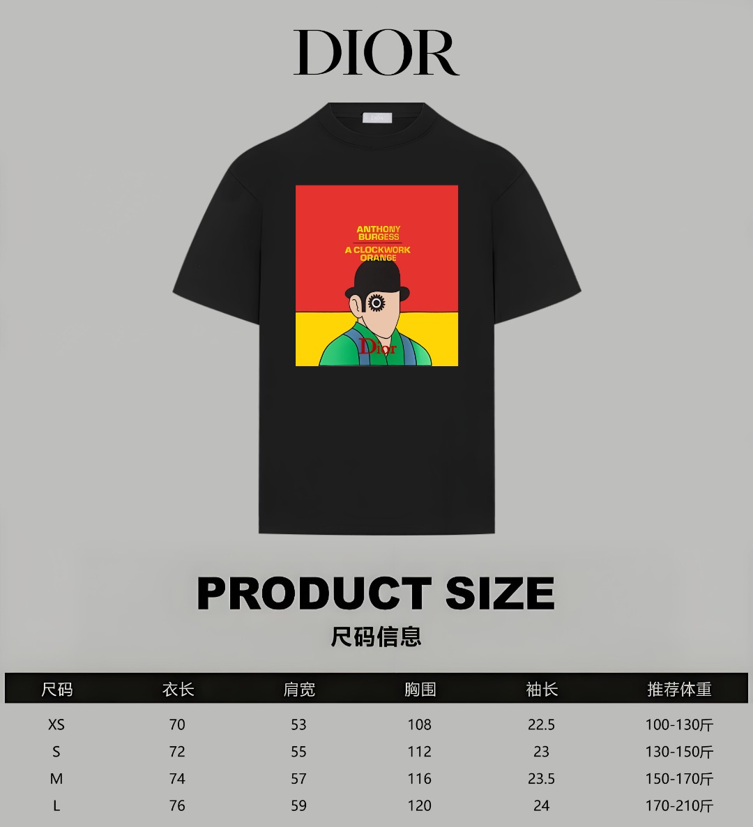 Dior Dior/迪奥 《 限定卡通人像logo字母》 印花双纱纯棉短袖