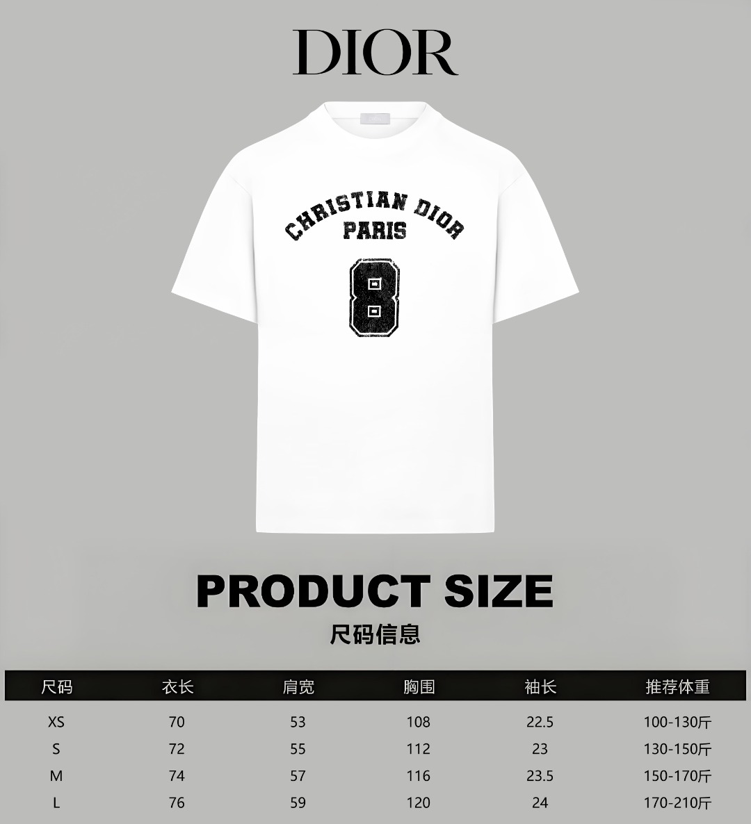 Dior Dior/迪奥 《 限定破损logo8号字母》 印花双纱纯棉短袖