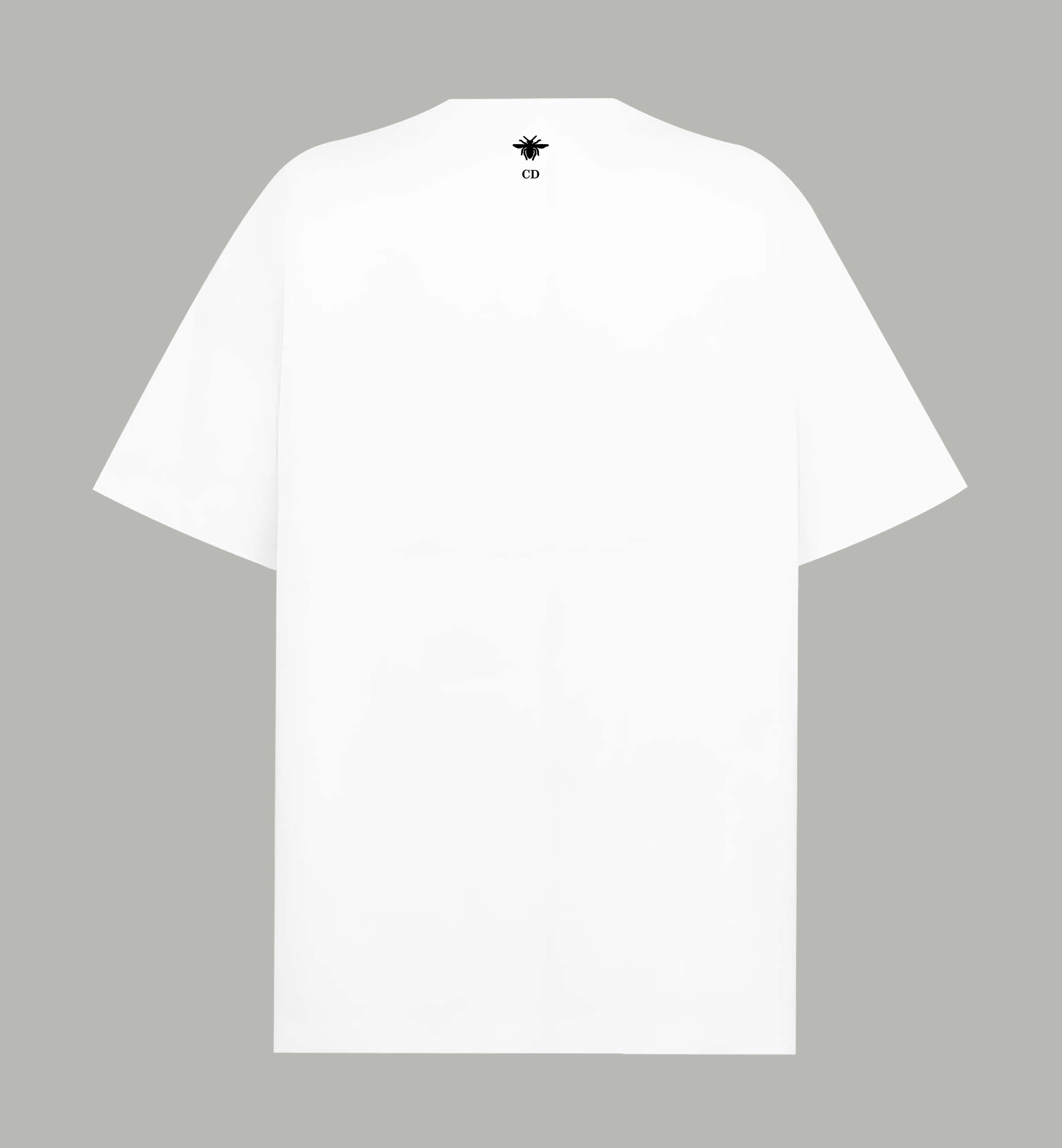 Dior Dior/迪奥 《 限定破损logo8号字母》 印花双纱纯棉短袖