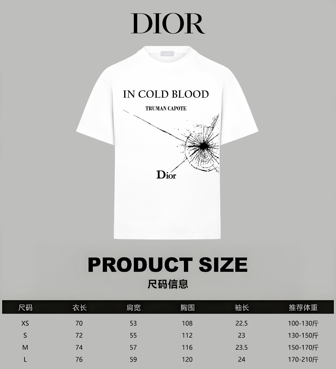 Dior Dior/迪奥 《 限定蛛网logo字母》 印花双纱纯棉短袖