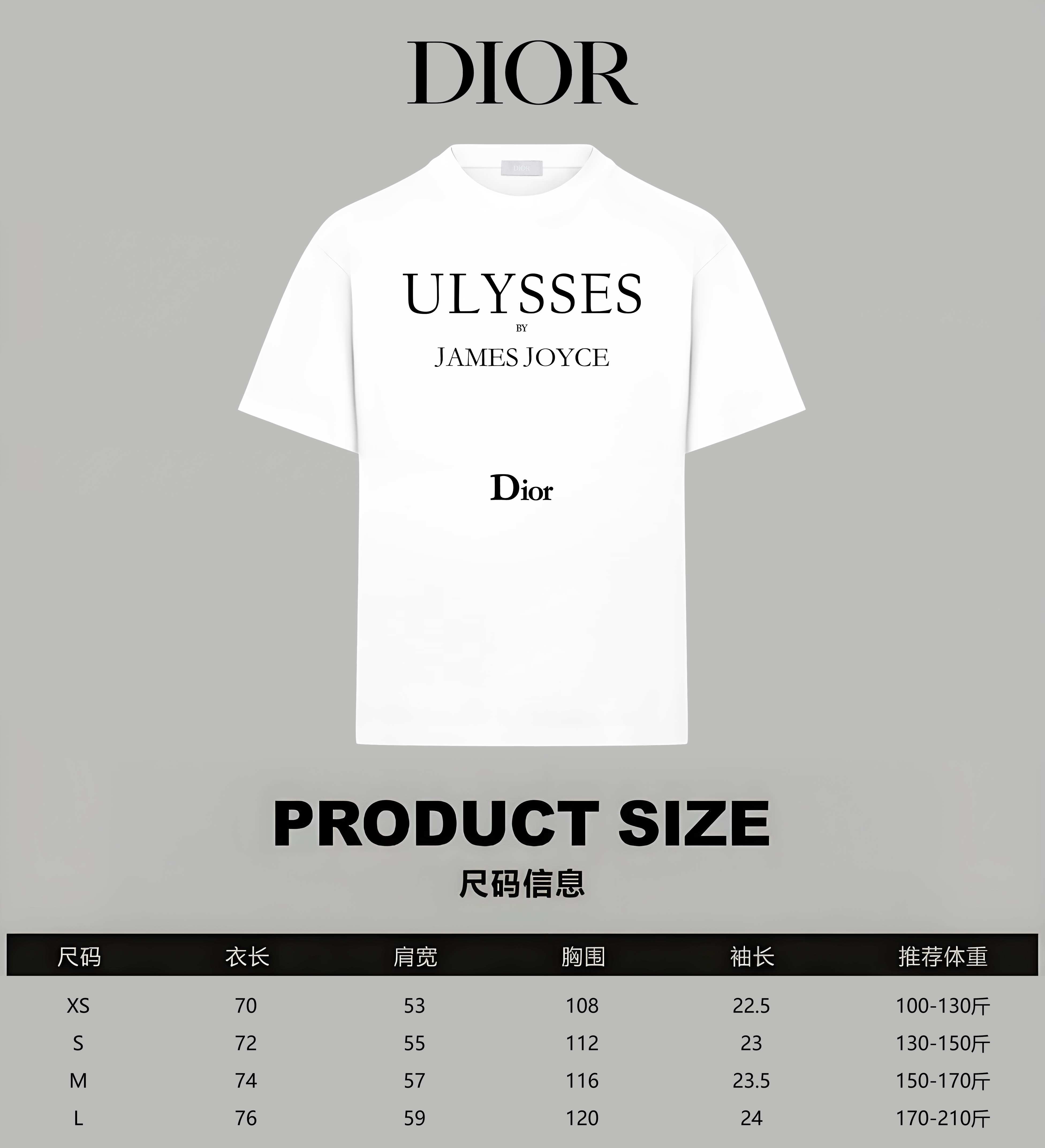 Dior Dior/迪奥 《 限定秀款字母logo字母》 印花双纱纯棉短袖