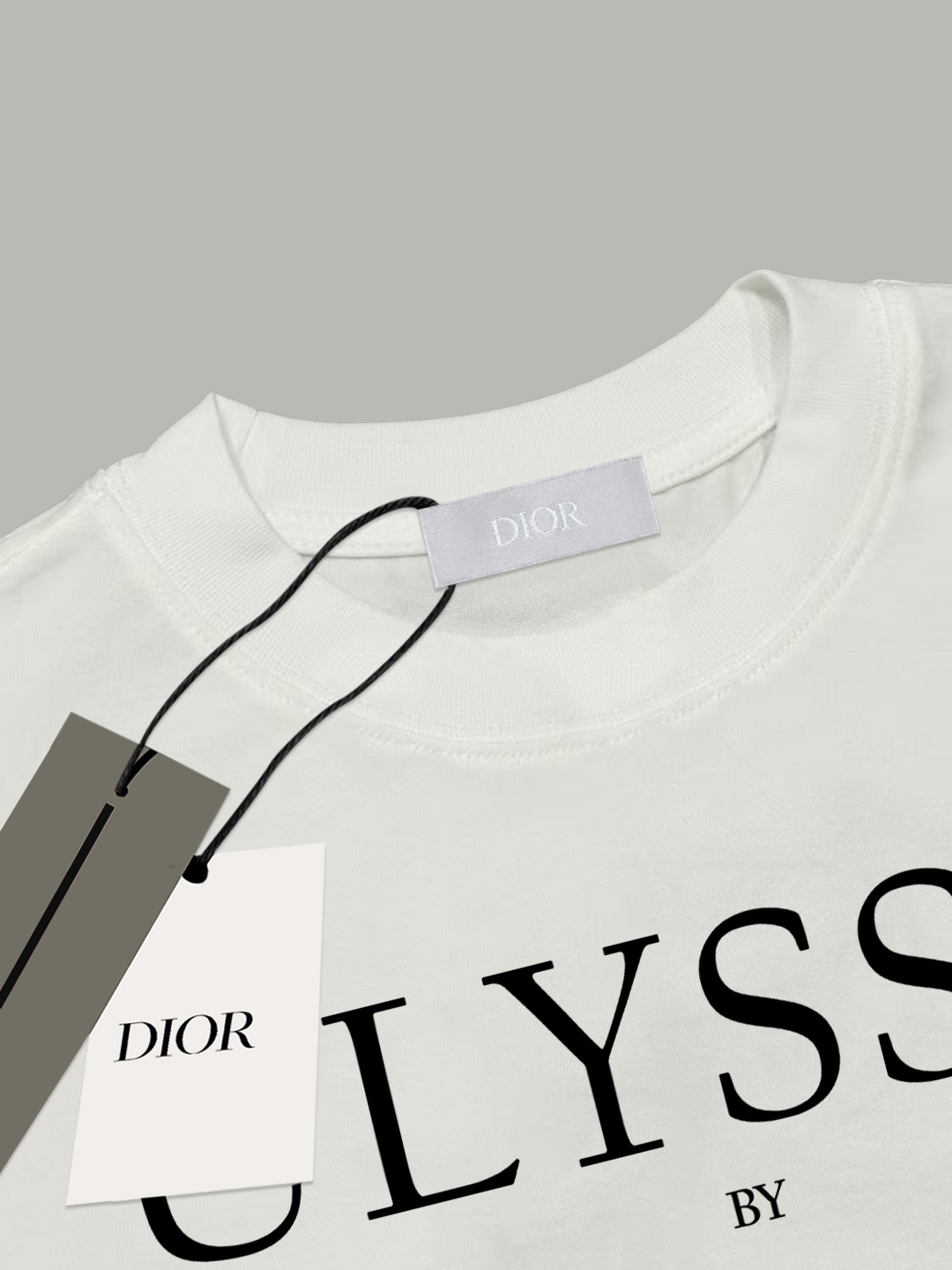 Dior Dior/迪奥 《 限定秀款字母logo字母》 印花双纱纯棉短袖