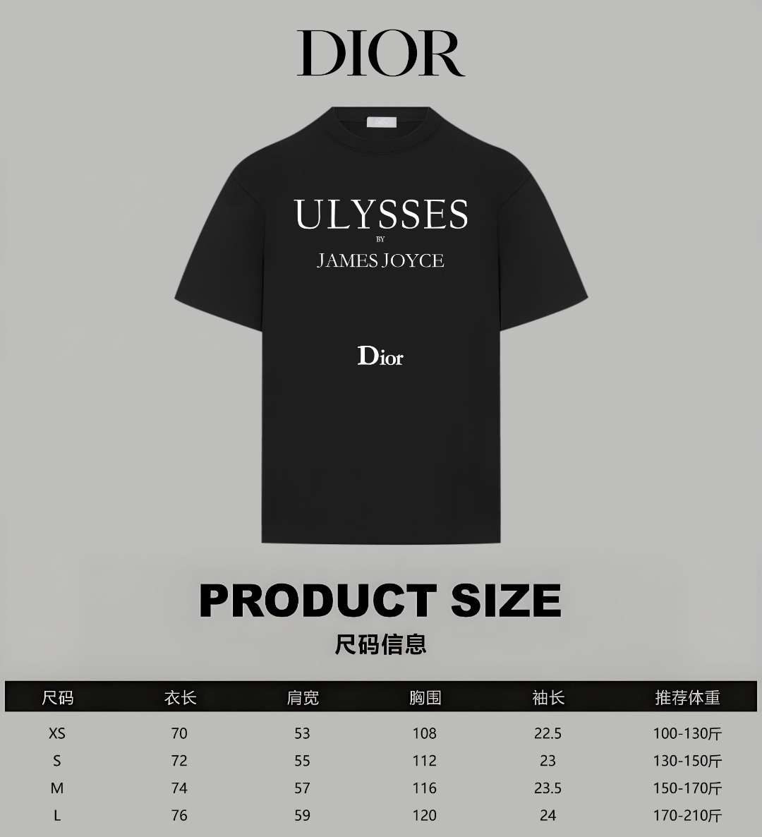 Dior Dior/迪奥 《 限定秀款字母logo字母》 印花双纱纯棉短袖