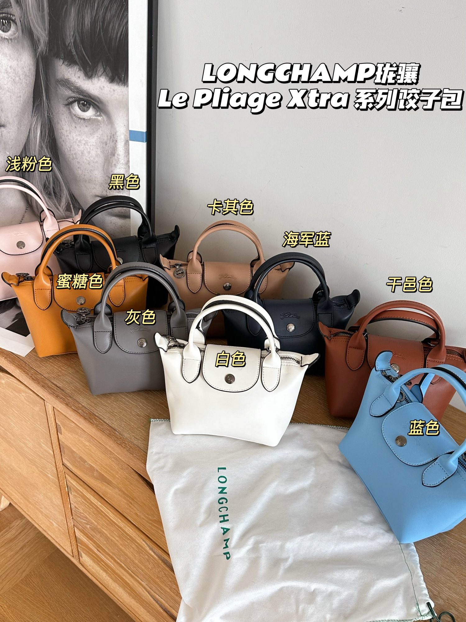 Longchamp Crossbody & Shoulder Bags Black Blue Grey Khaki Light Pink Navy White Calfskin Cowhide Vintage