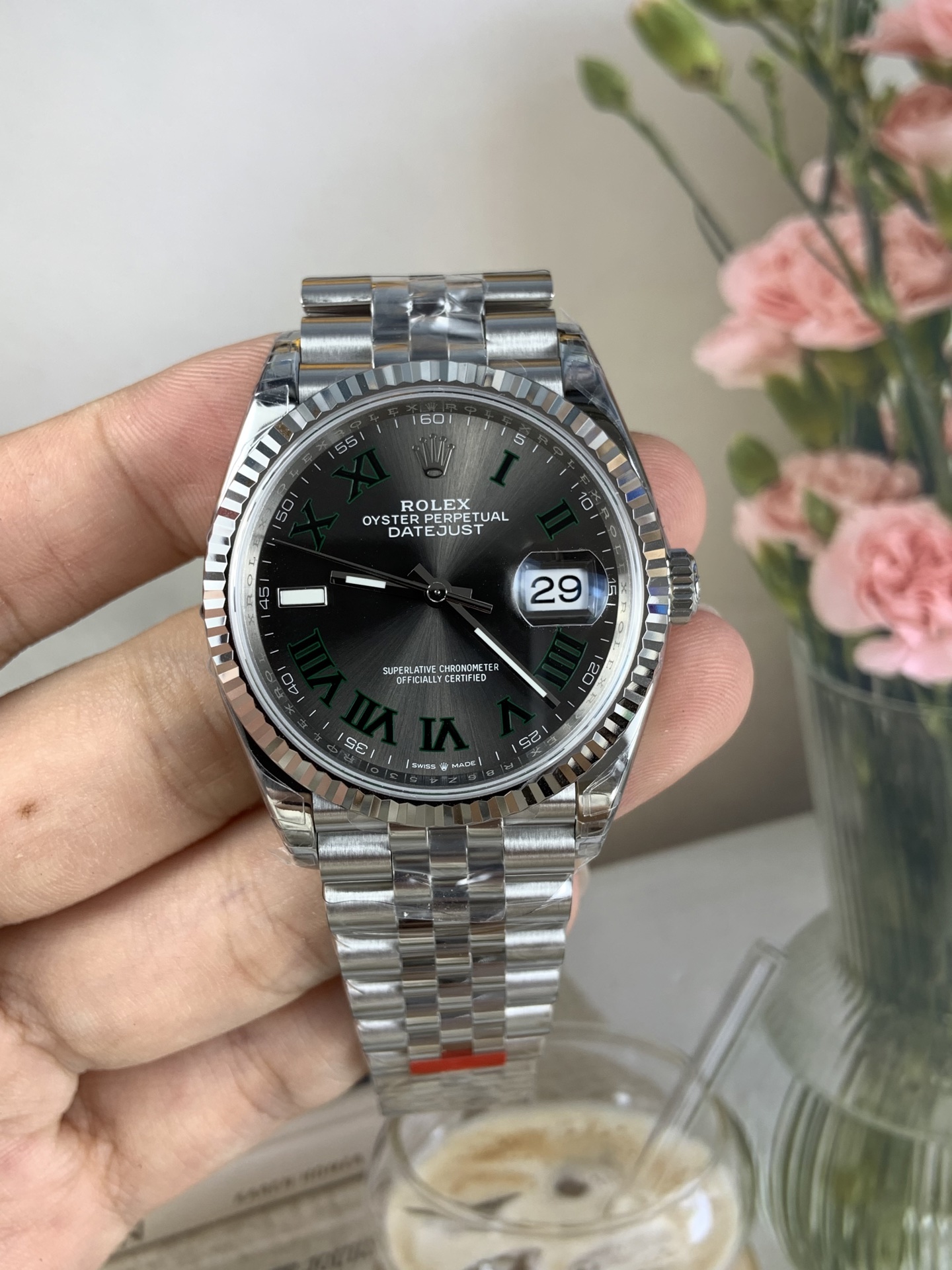 NO:553354,VS Pothos Dandong,19860909VS 绿萝 丹东,,Watch