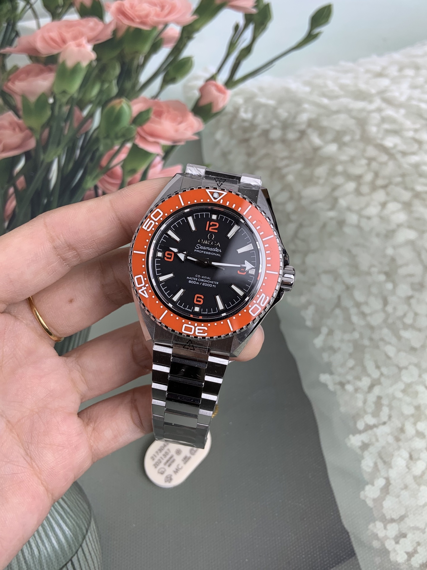 NO:728300,VS+, hippocampus,19860909VS+,海马,,Watch