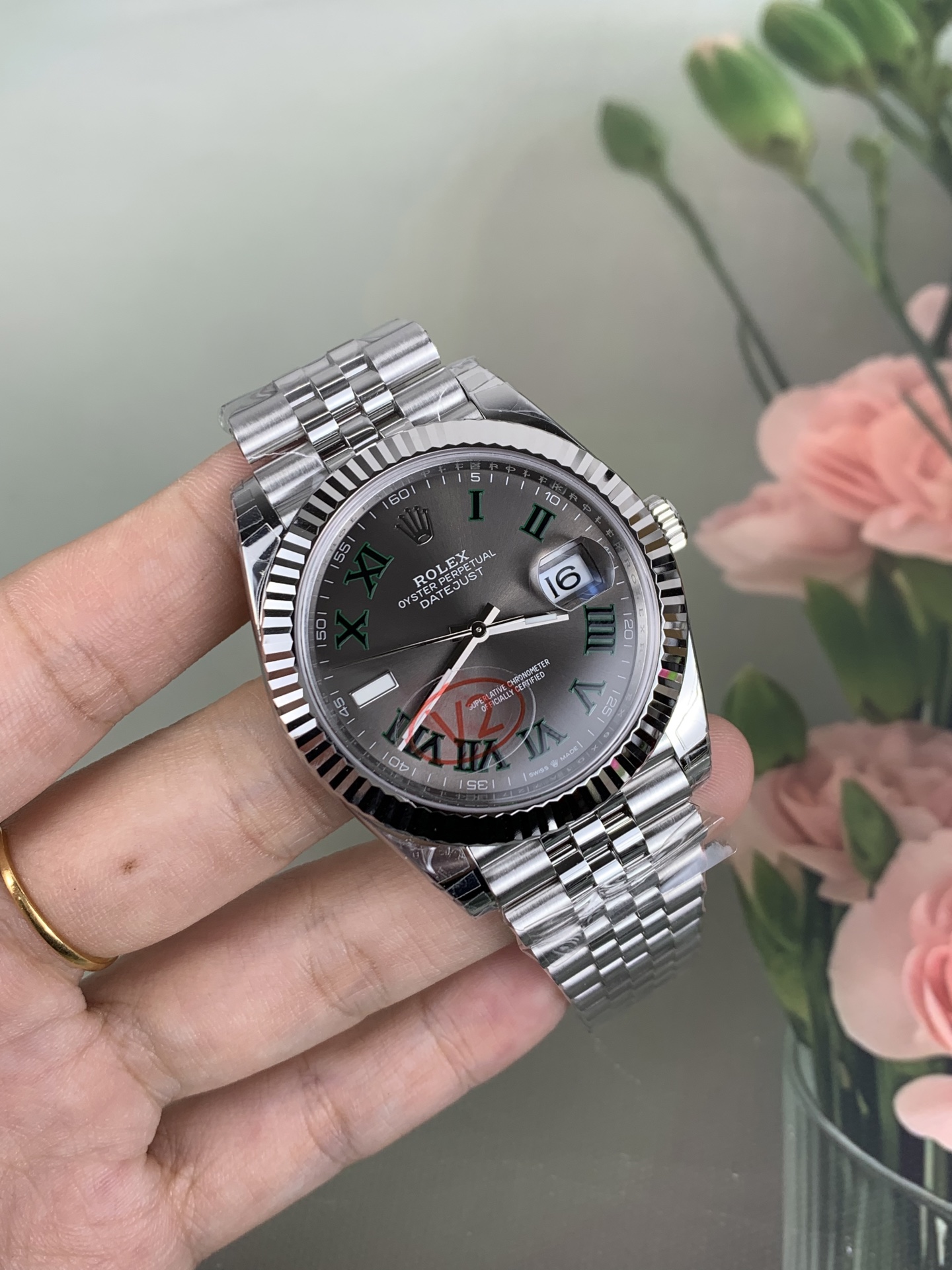 NO:728290,VS Pothos,19860909VS 绿萝,,Watch