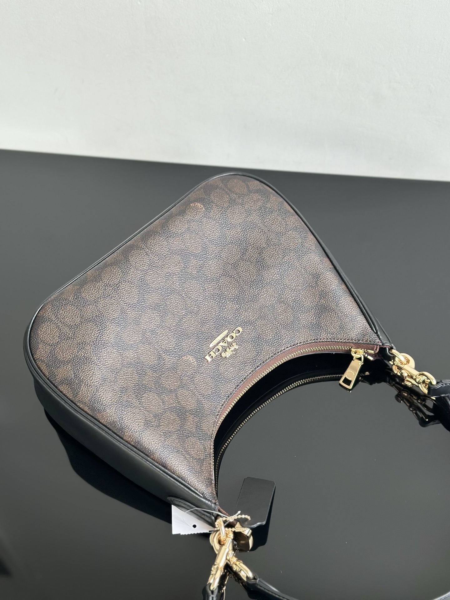 Coach ～原Coach蔻驰CV940/CAA69 Teri系列大号月牙包/腋下包5个配色