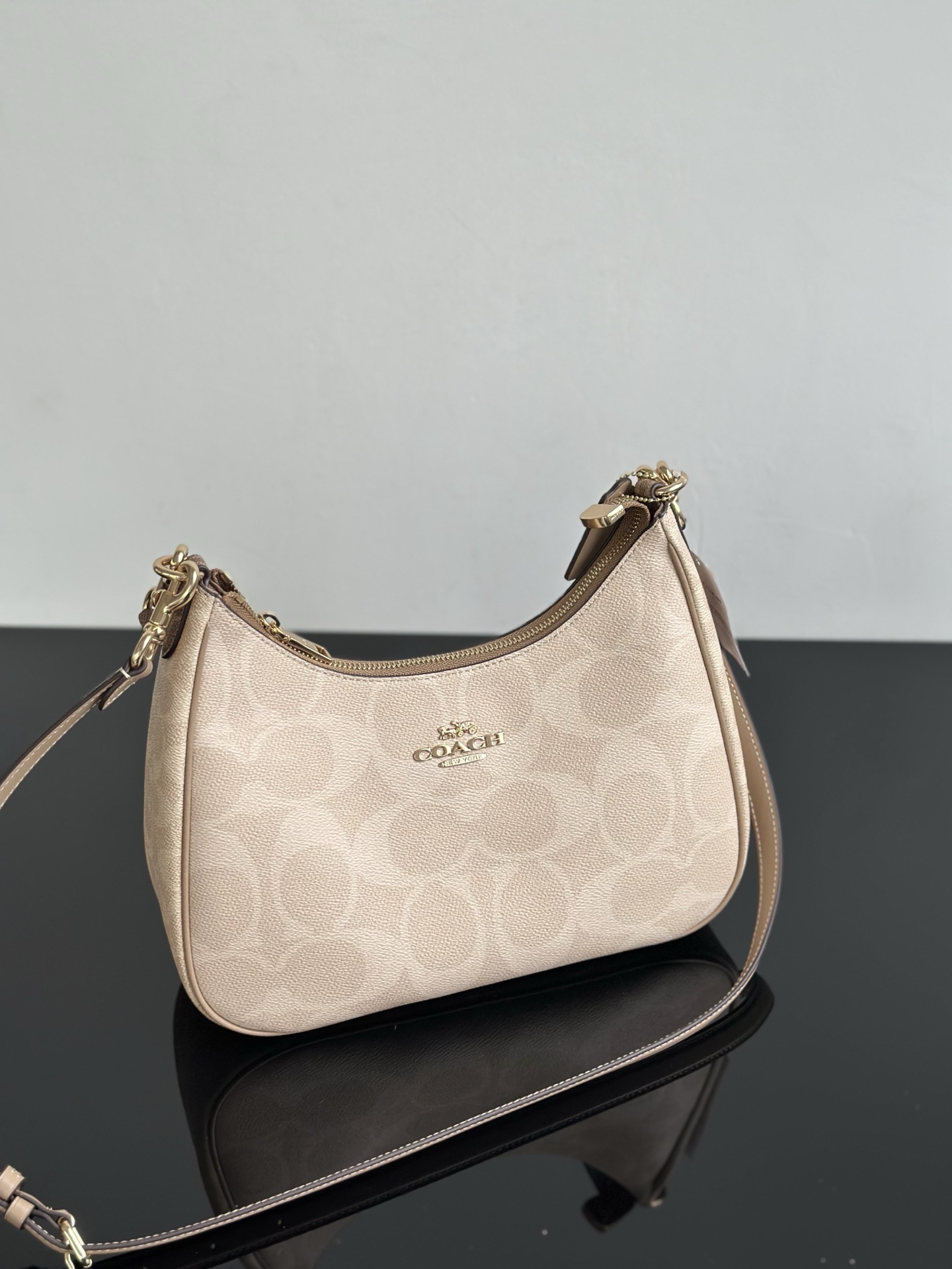 Coach CAA69大C豆沙色 ～原Coach蔻驰CV940/CAA69 Teri系列大号月牙包/腋下包5个配色