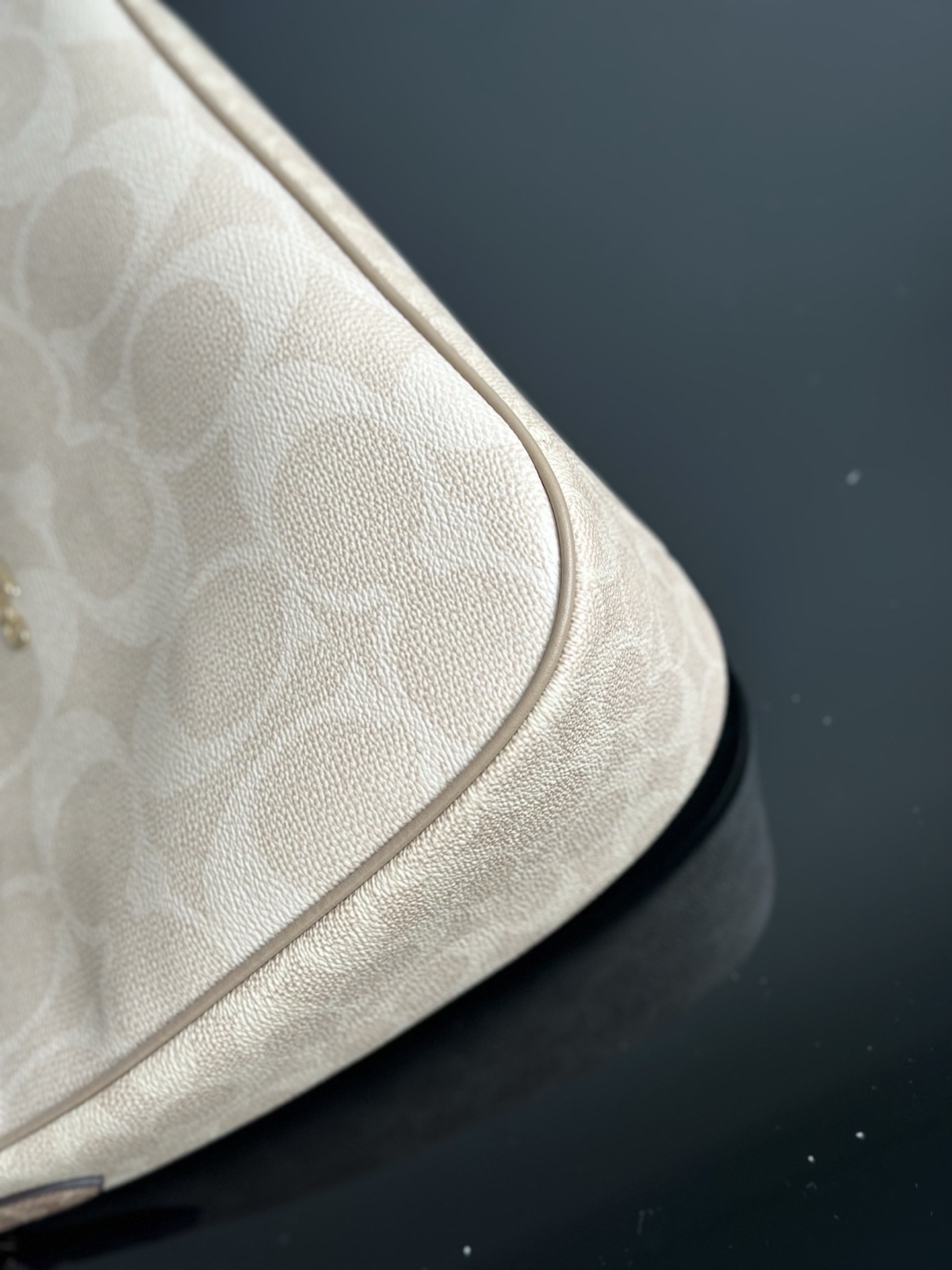 Coach CAA69大C豆沙色 ～原Coach蔻驰CV940/CAA69 Teri系列大号月牙包/腋下包5个配色