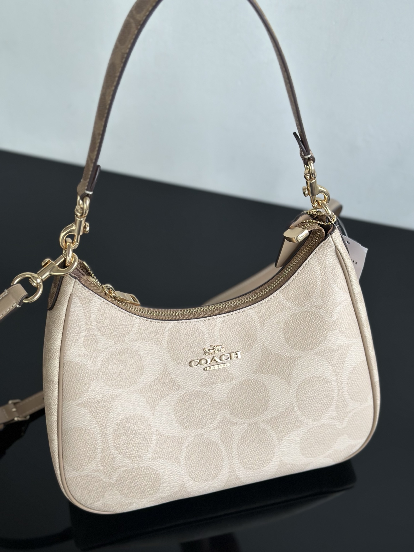Coach CAA69大C豆沙色 ～原Coach蔻驰CV940/CAA69 Teri系列大号月牙包/腋下包5个配色