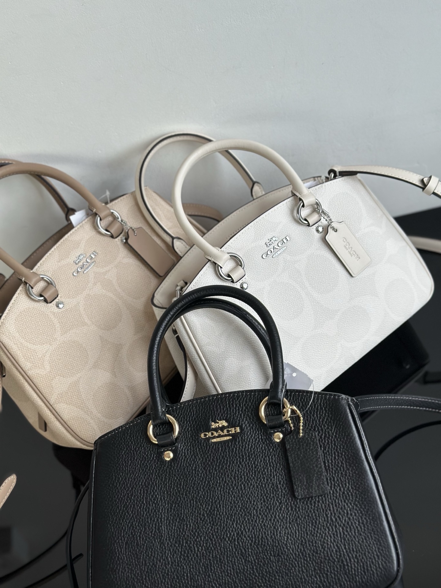 Coach ～原Coach蔻驰 darcie系列/戴妃小号CAL53/CAL54，高品代购级